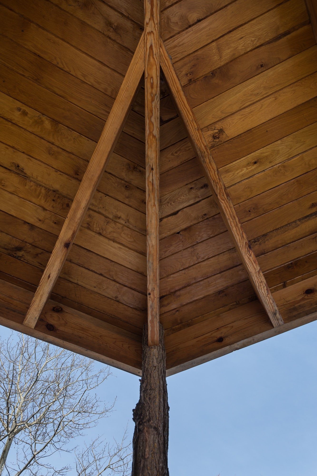 © Monteyne Architecture Works Inc.