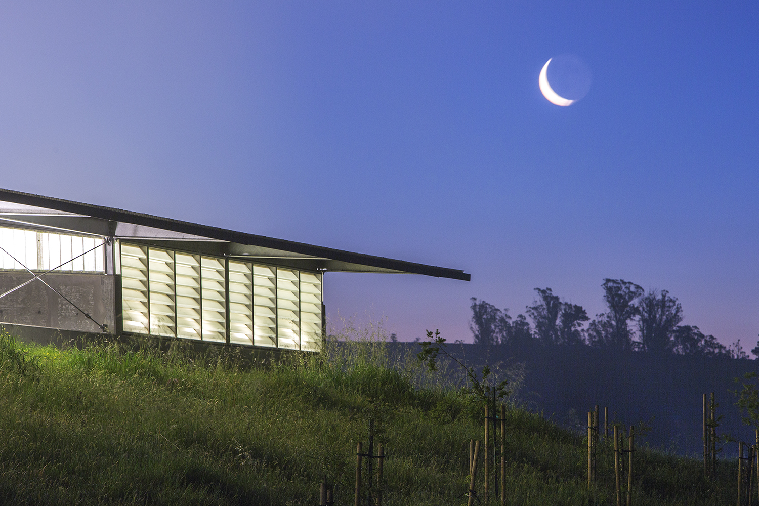 © Marcy Wong Donn Logan Architects