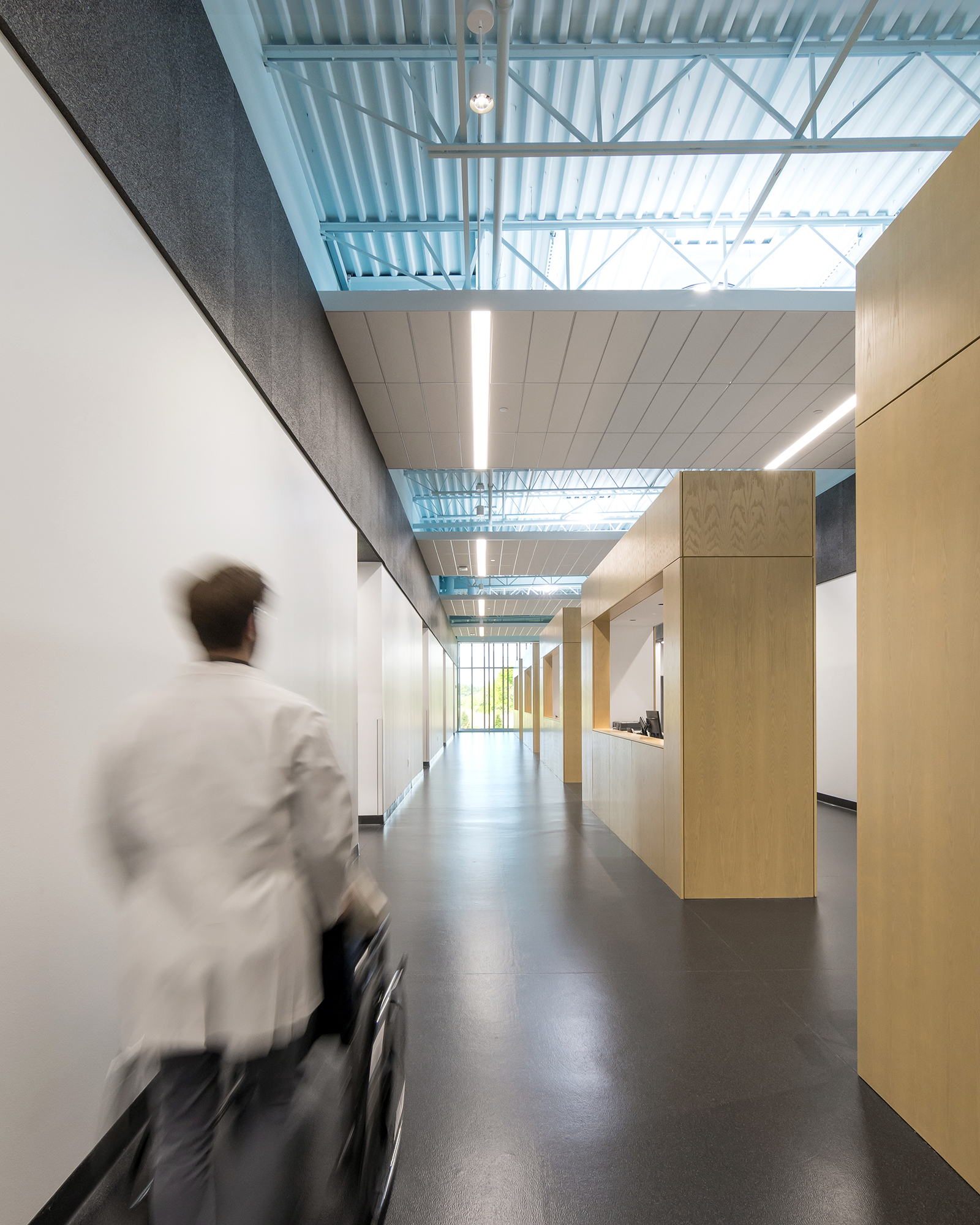 OrthoSouth by archimania Architizer