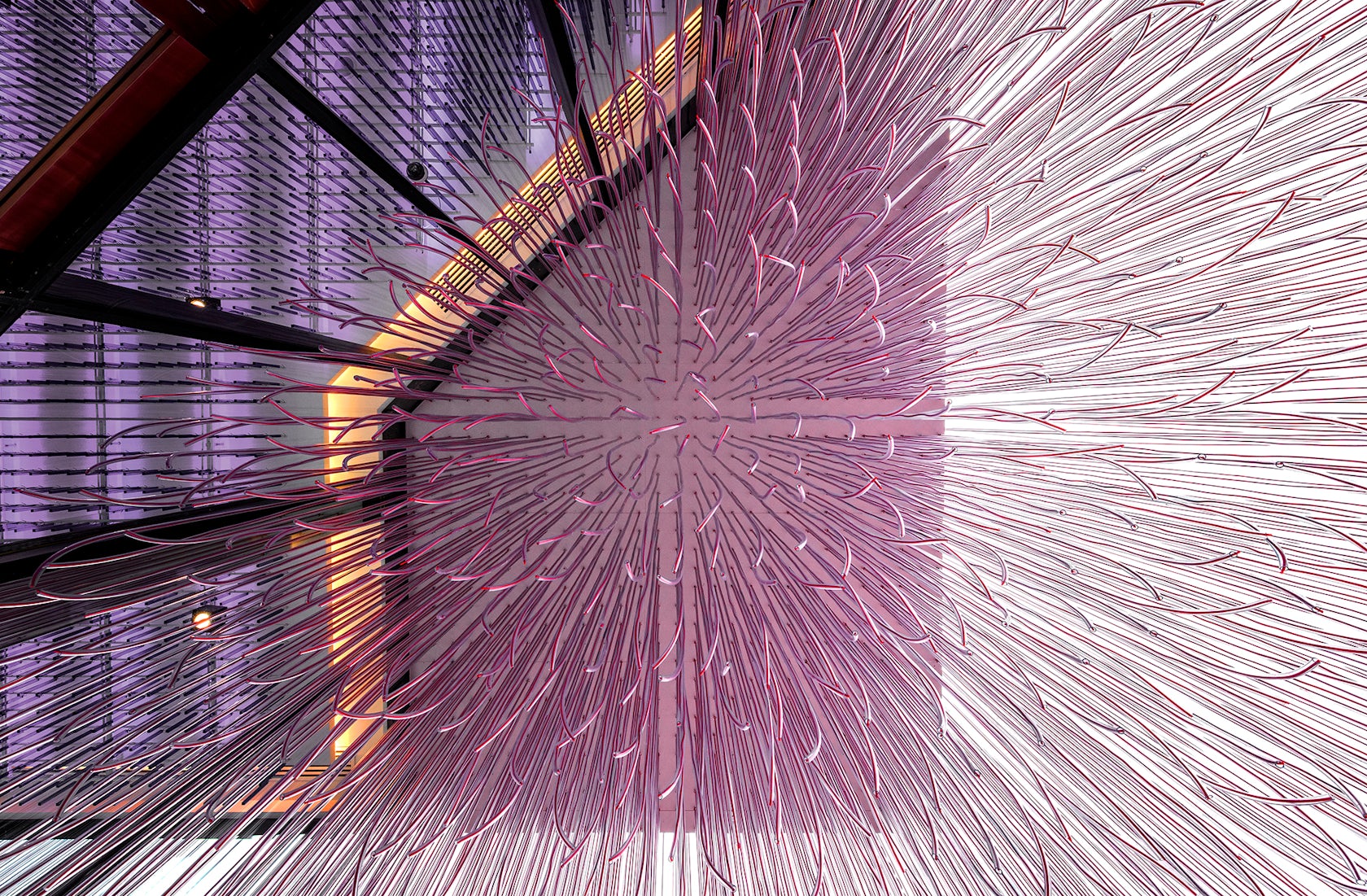 © Quintrix Architects