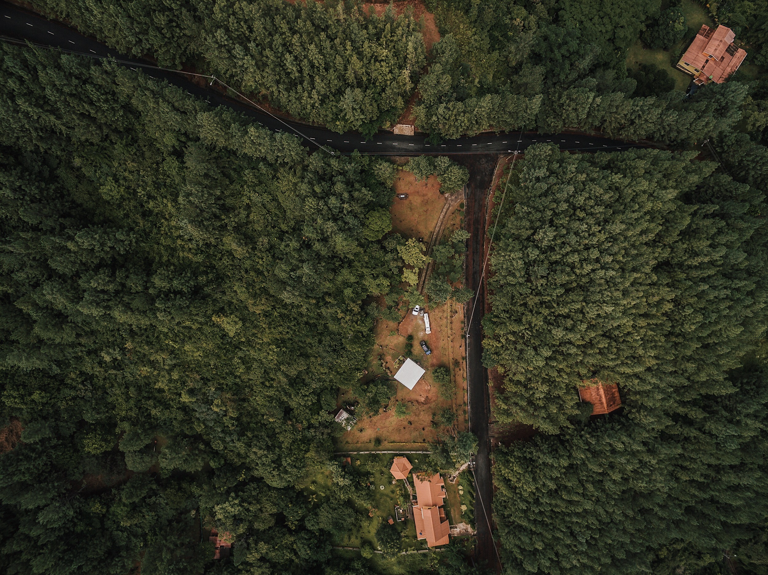 © Alfredo J. Martiz J.