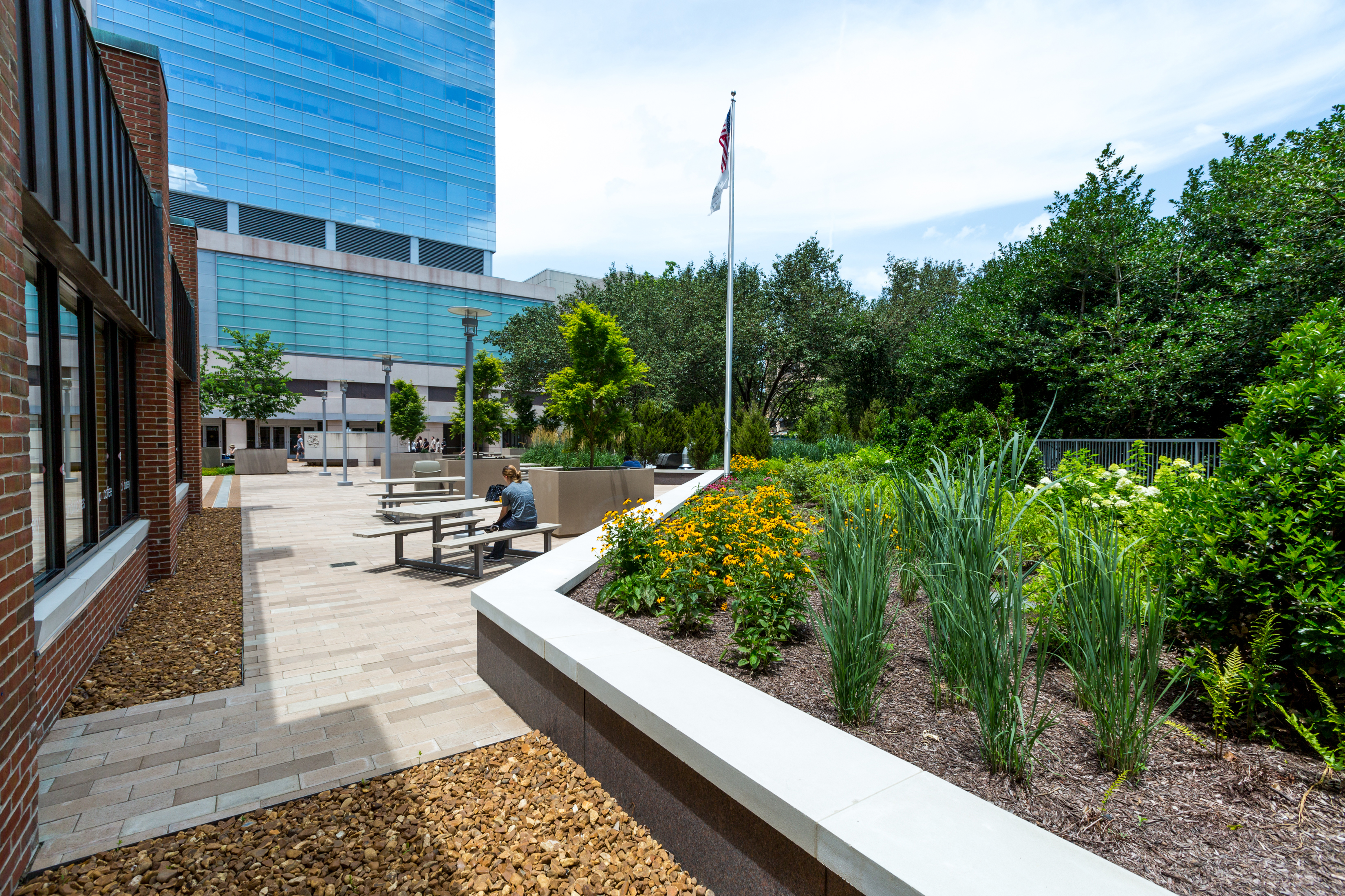 Medical Center Plaza Renovation