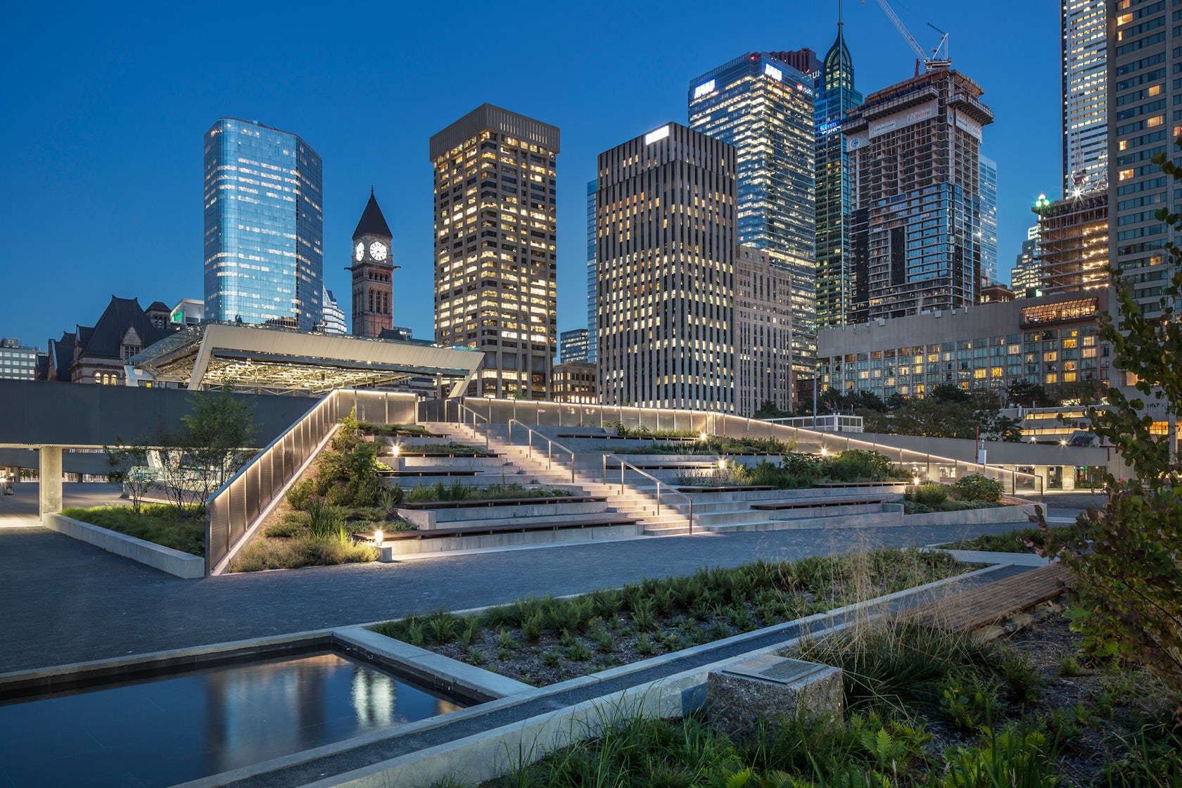 © Steven Evans Photography