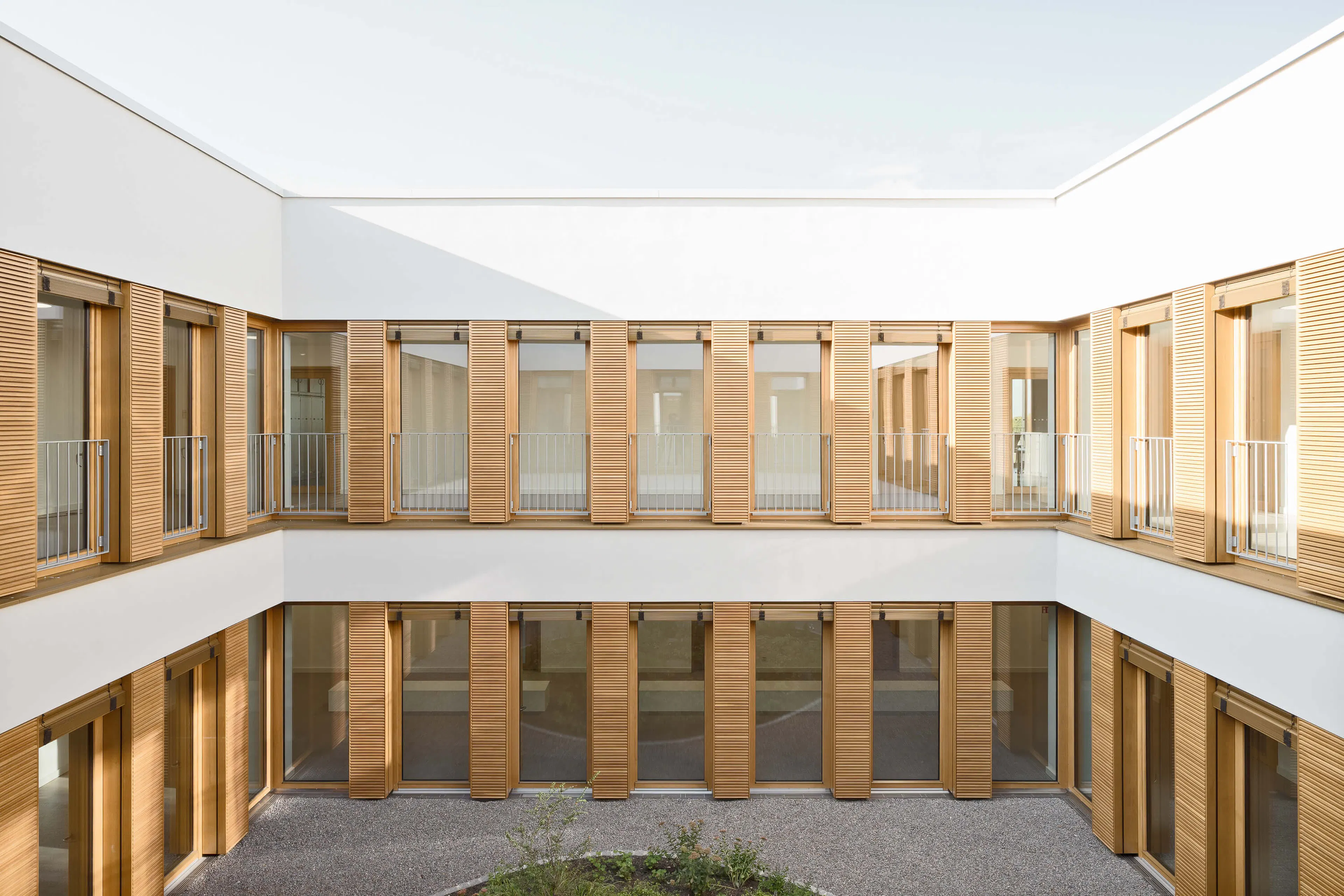 Four primary schools in modular design — 1