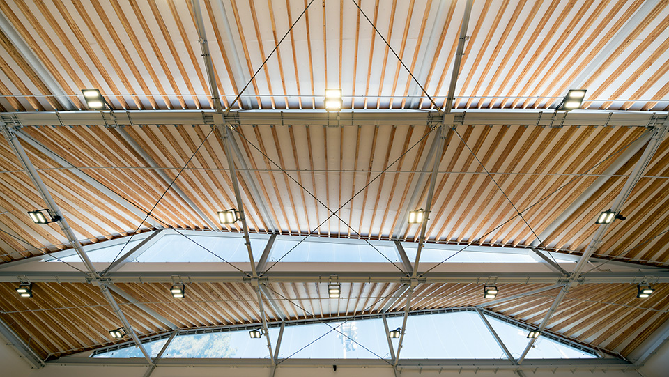 © kevin daly Architects