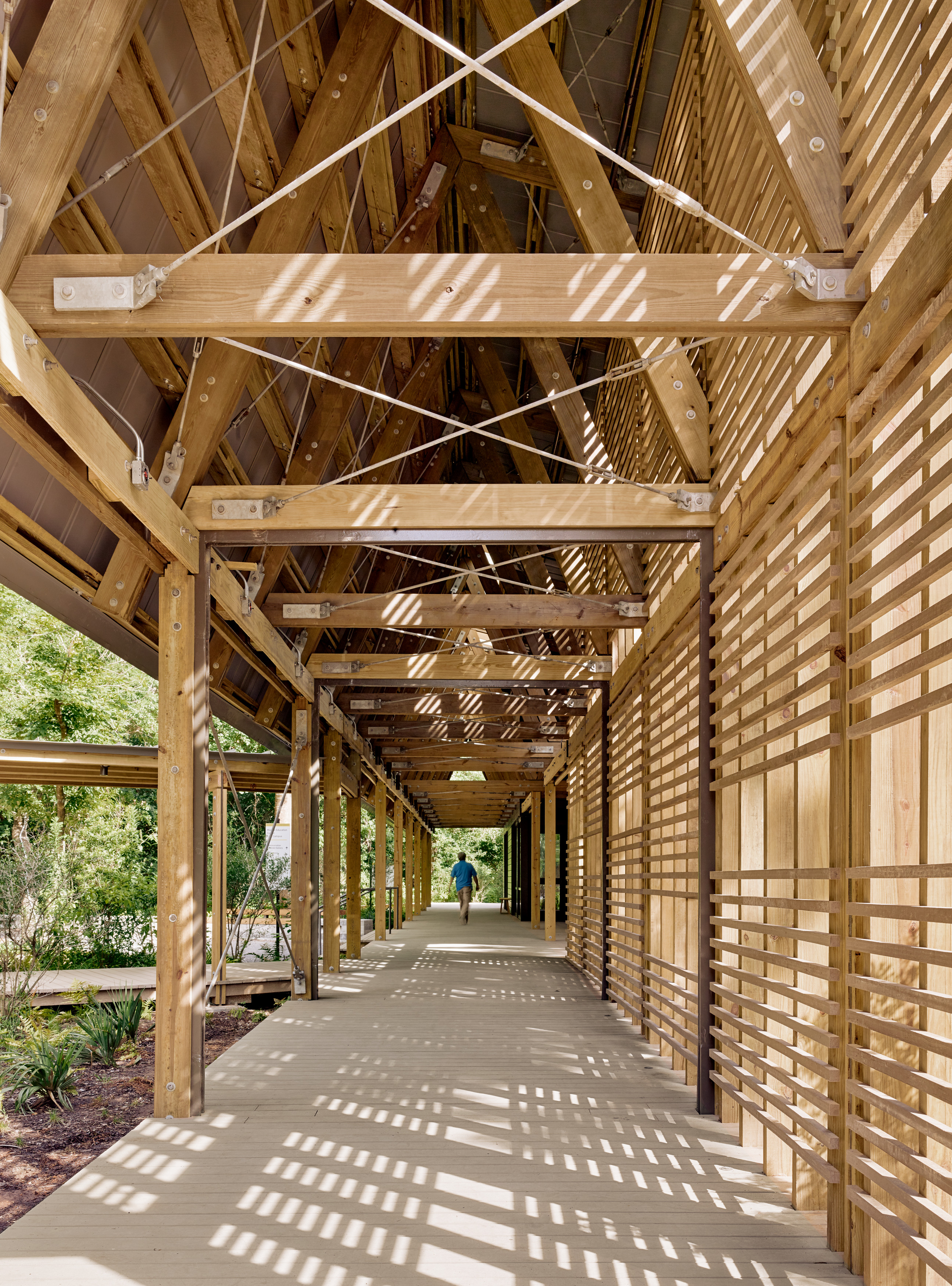 Wood 2019. Павильон с соснами Тбилиси. Smallwood Pavilion. Architect USA Hawaii Pavilion. Metla Forest research Centre / SARC Architects.