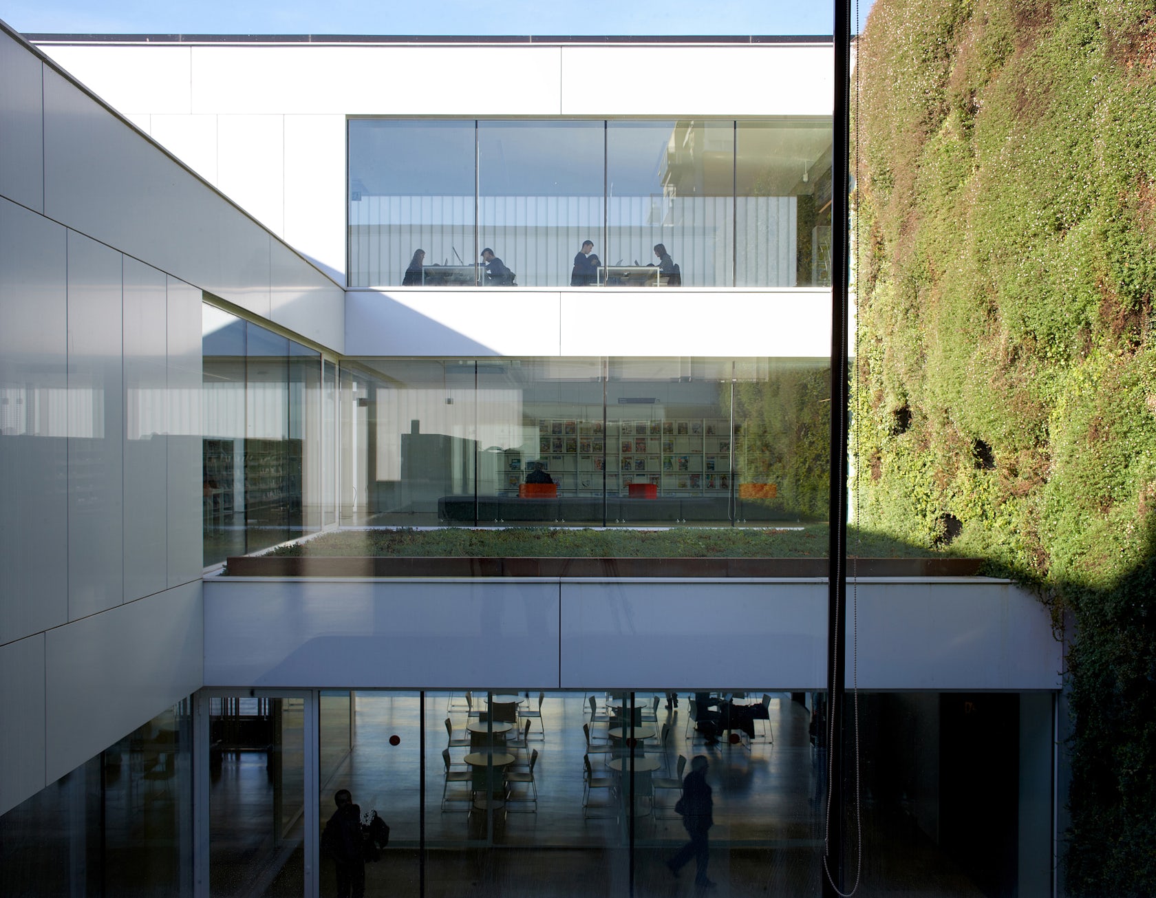 © Mario Corea Arquitectura