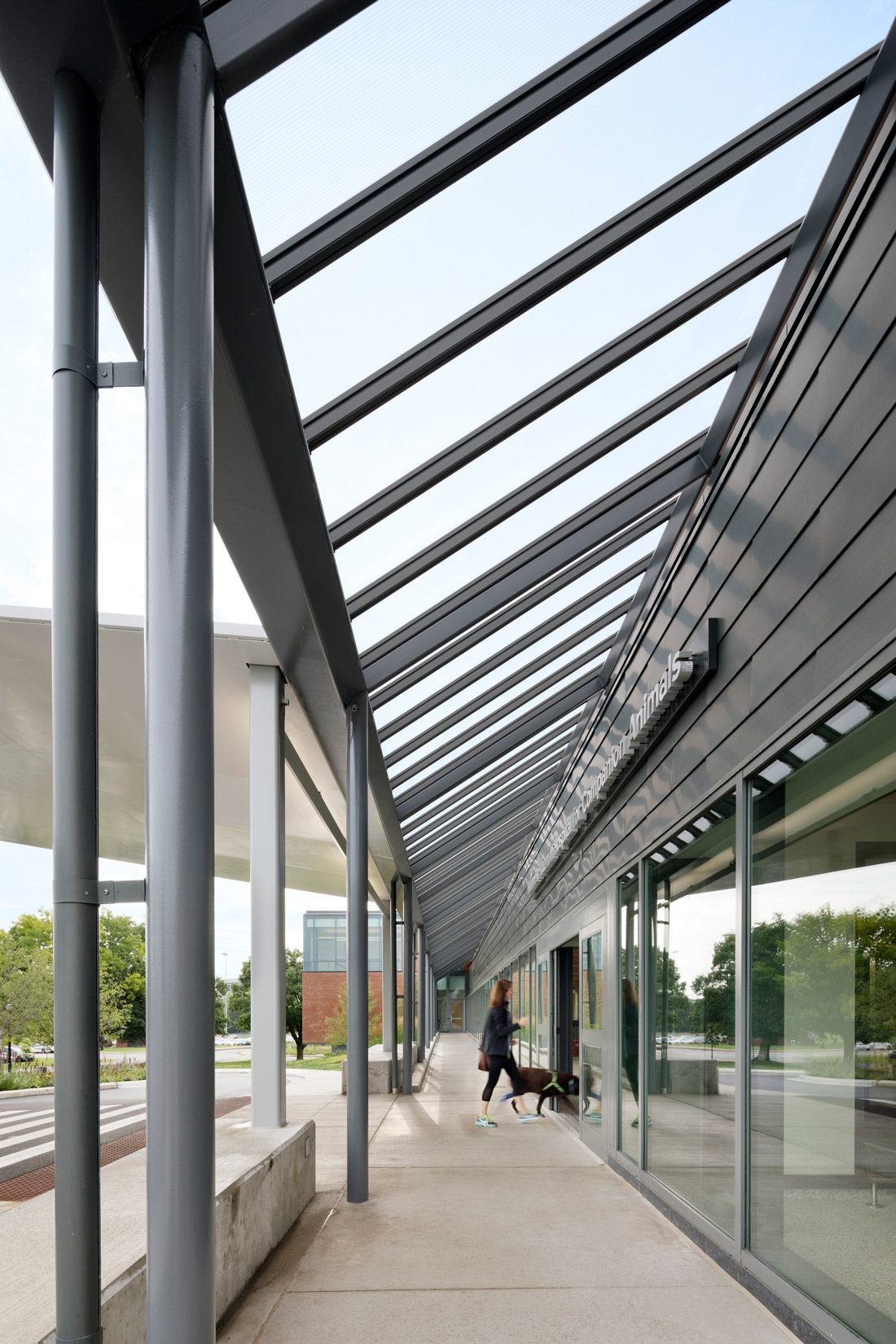 Ohio State University Veterinary School of Veterinary Medicine by Smith