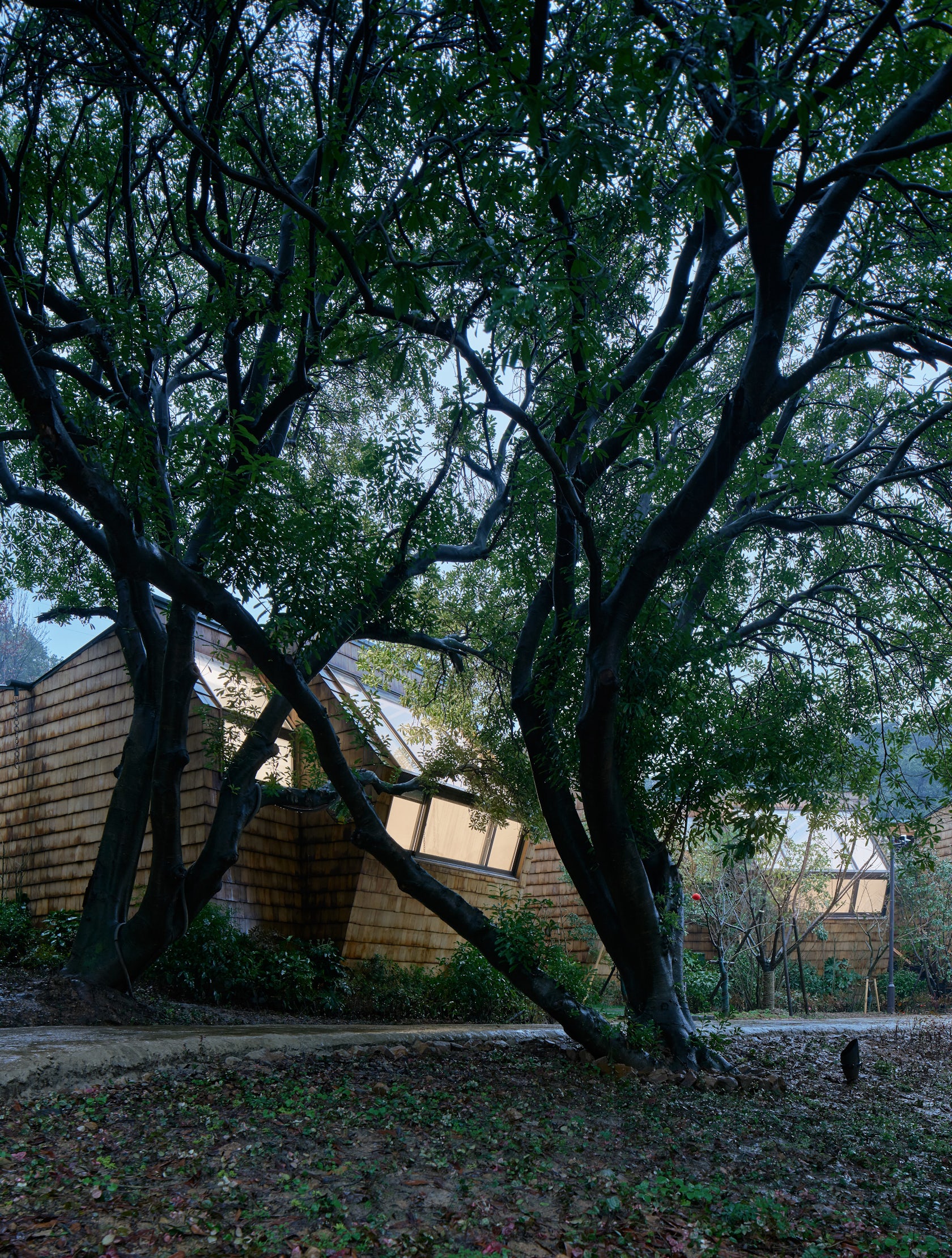 © The Design Institute Of Landscape & Architecture China Academy Of Art CO.,LTD