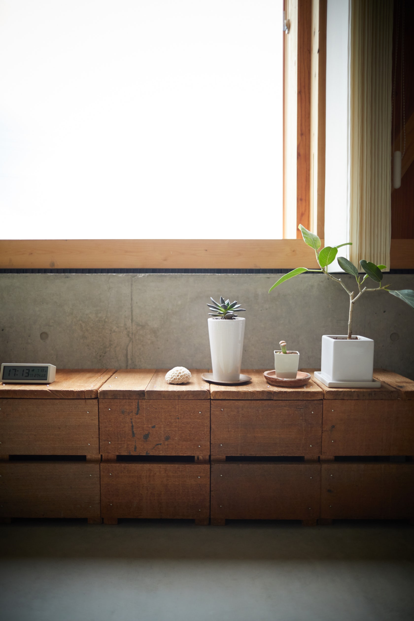 © Takeru Shoji Architects.Co.,Ltd.
