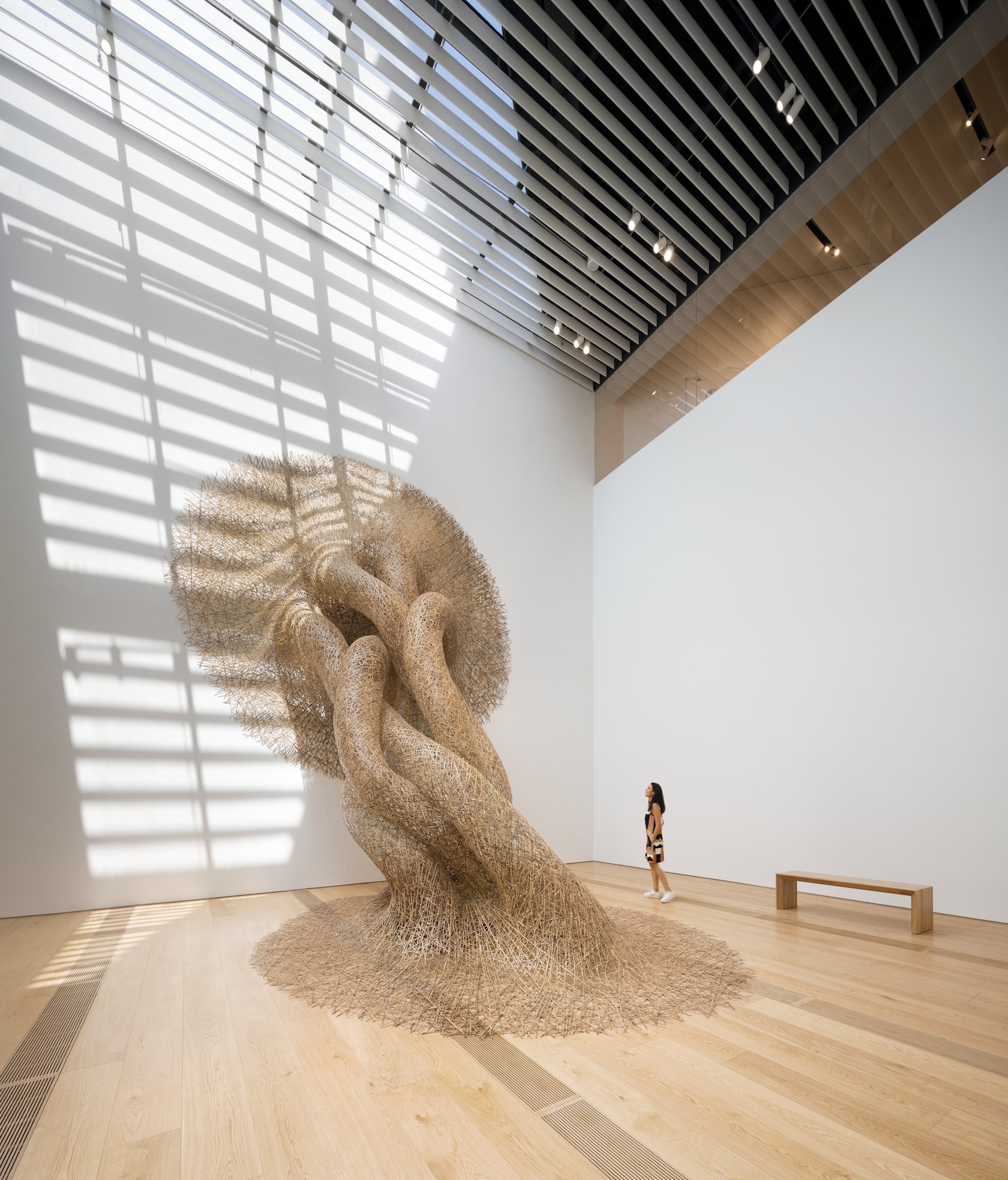 © Kengo Kuma and Associates