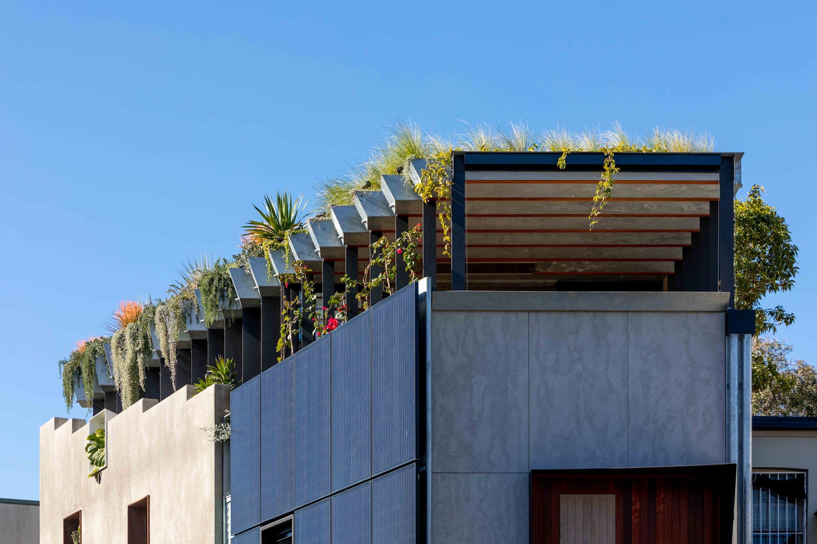 © CplusC Architectural Workshop