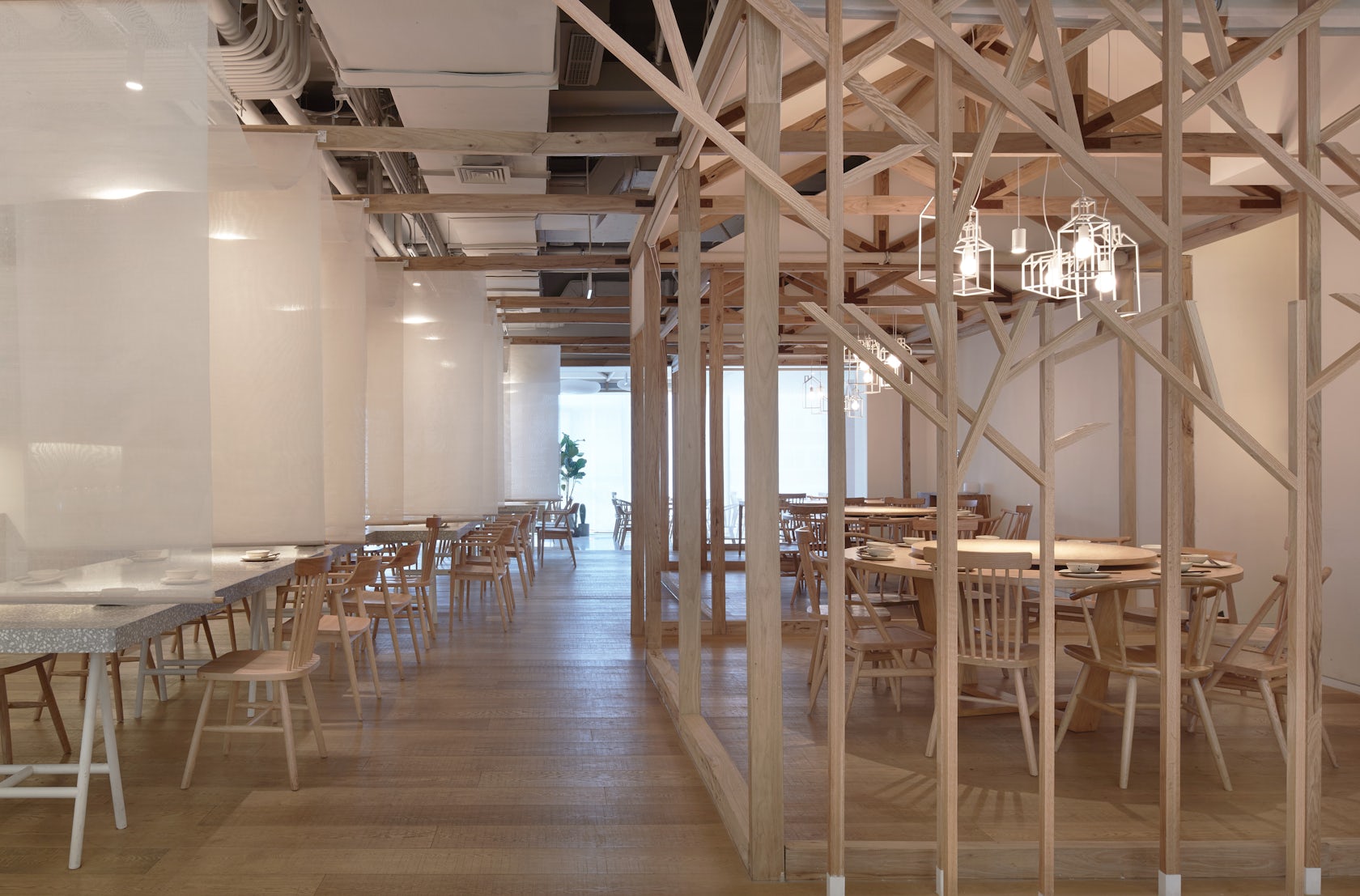 © Golucci Interior Architects