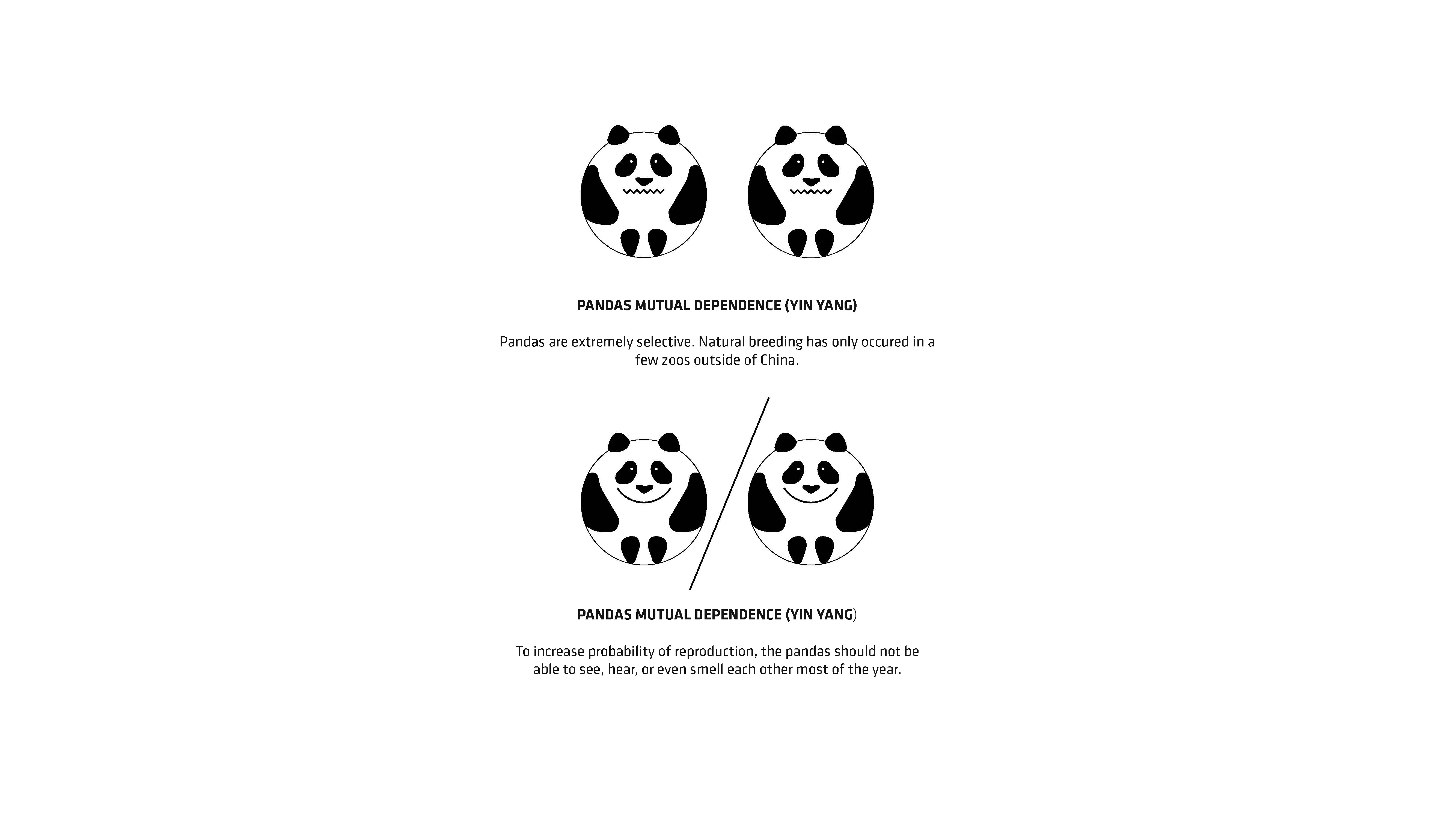 Panda House by BIG Bjarke Ingels Group Architizer