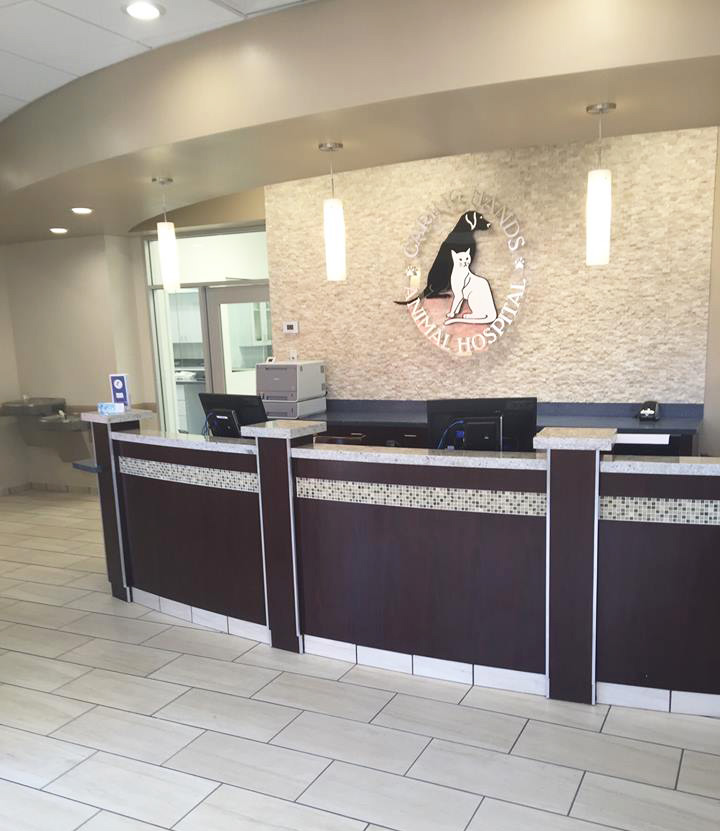 Caring Hands Animal Hospital by Asante Design Group llc Architizer