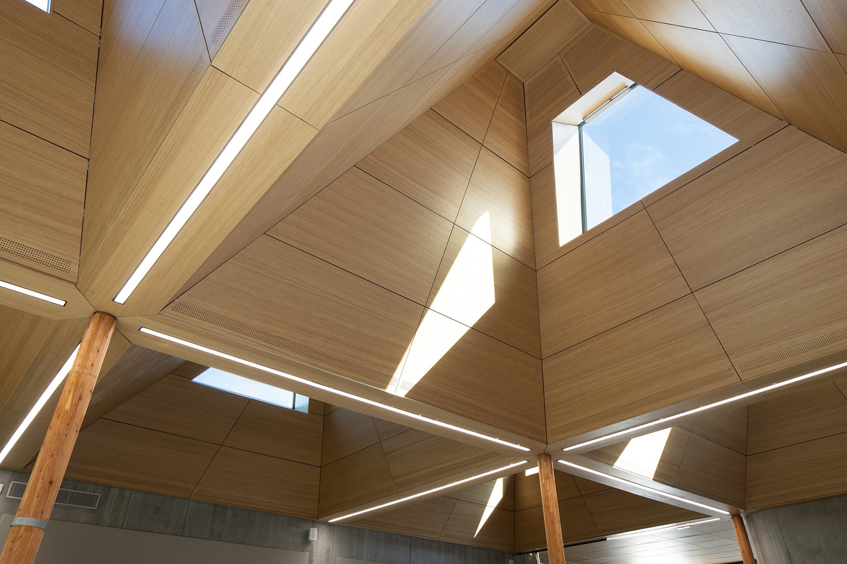 © atelier d'architecture King Kong
