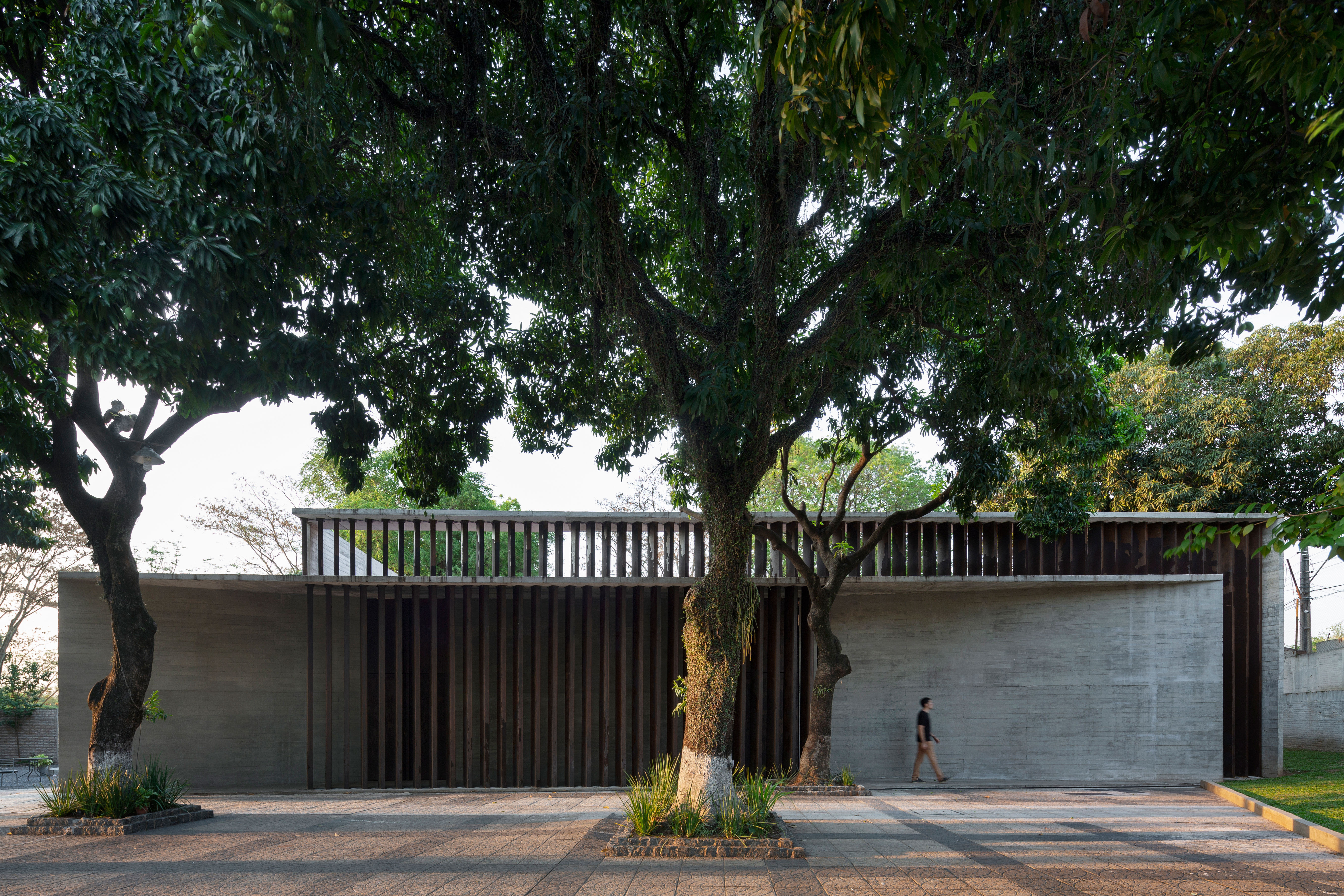 Why the Next Generation of Hospitals Should Be Made From Mass Timber