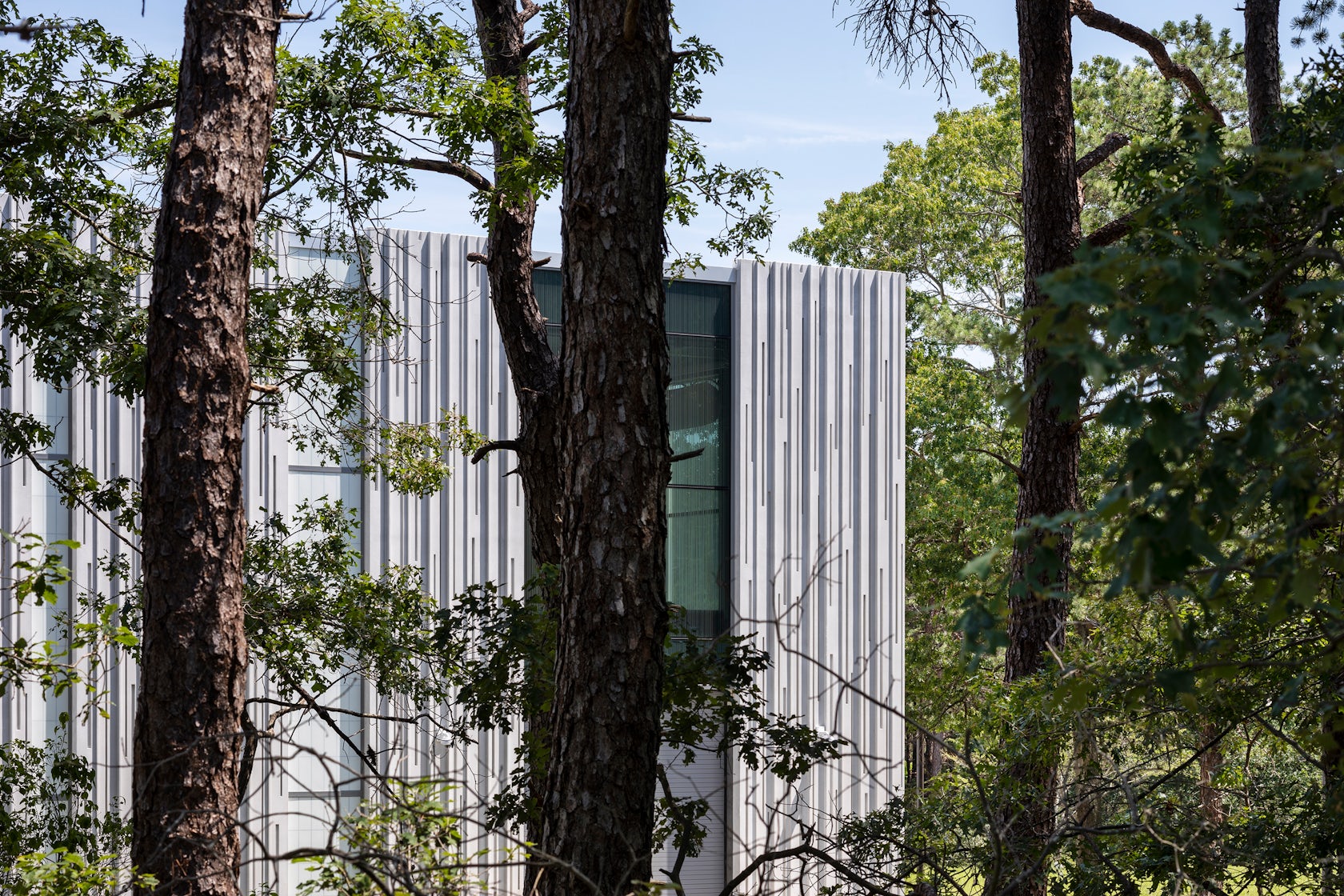 © ikon.5 architects