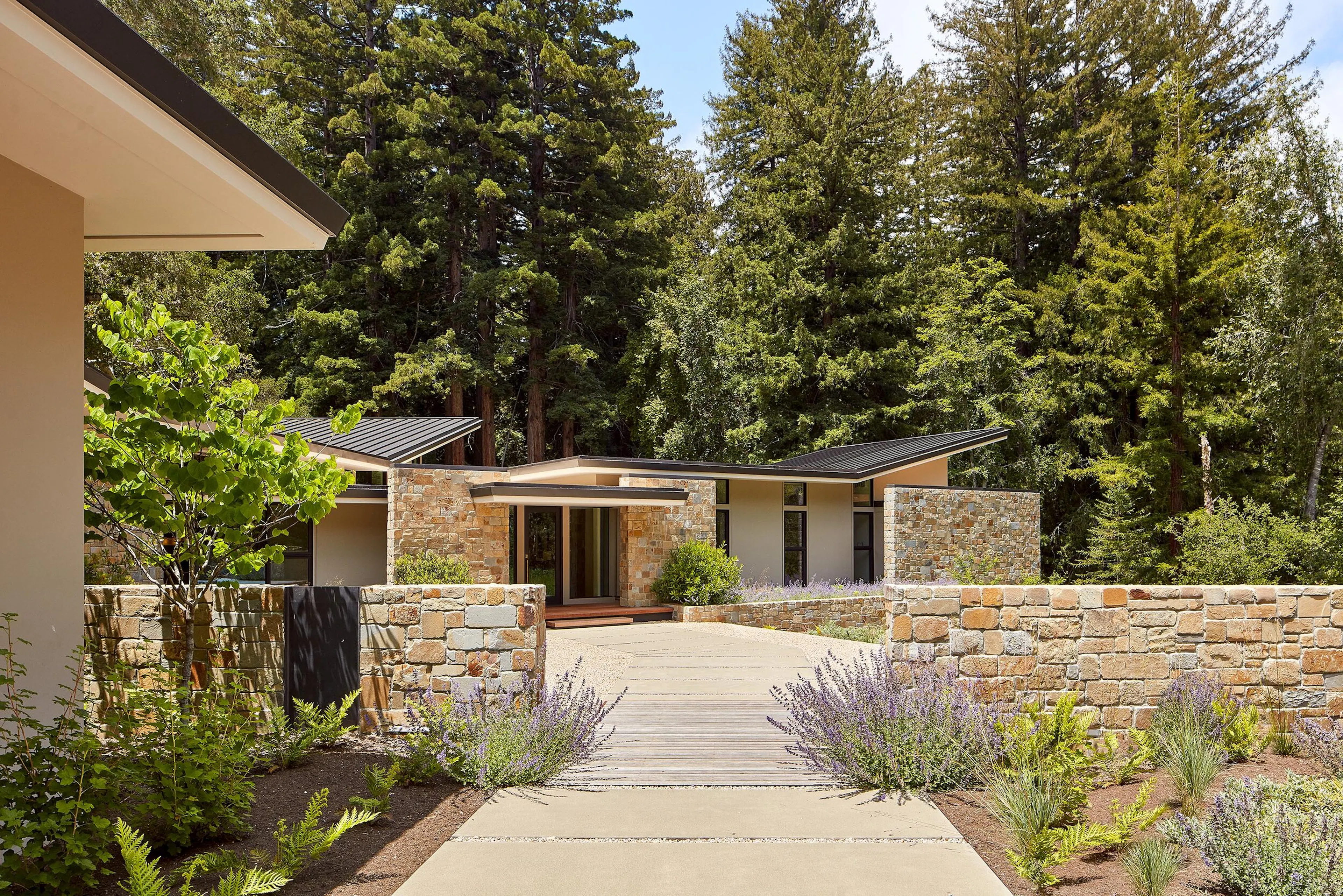 Dry Garden Poetry — 2