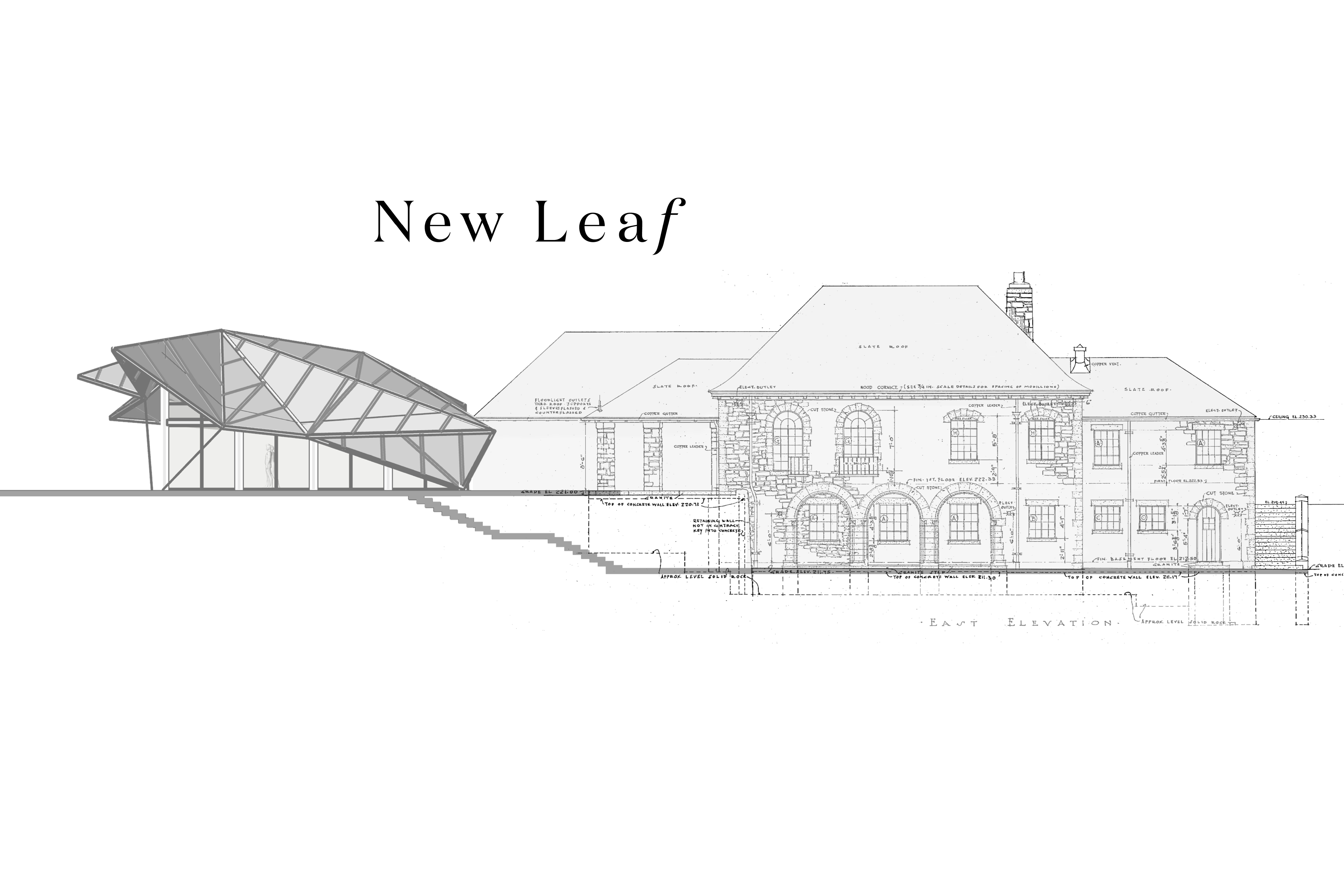 New Leaf