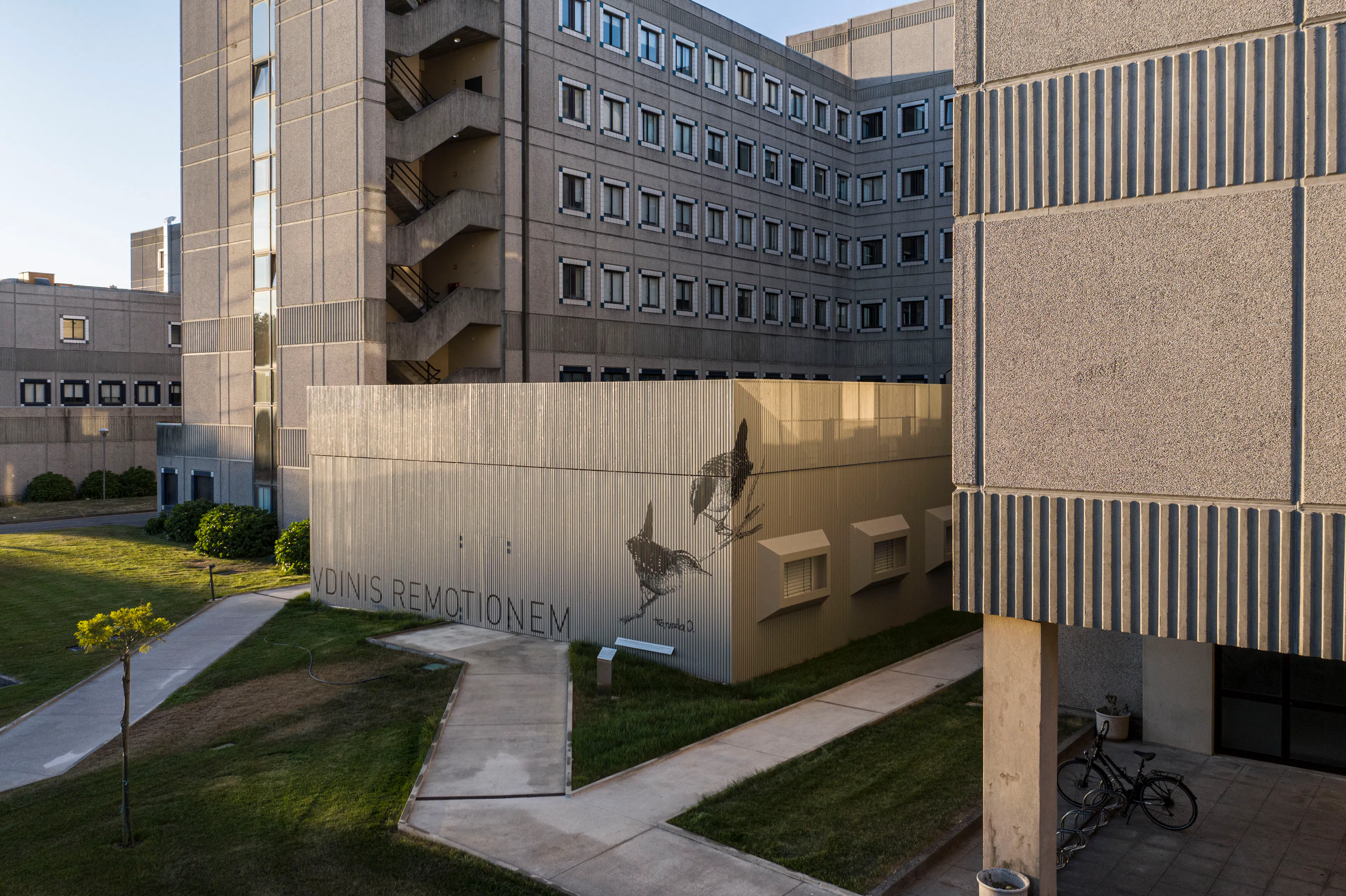 Intensive Care Unit-Pedro Hispano Hospital — 1