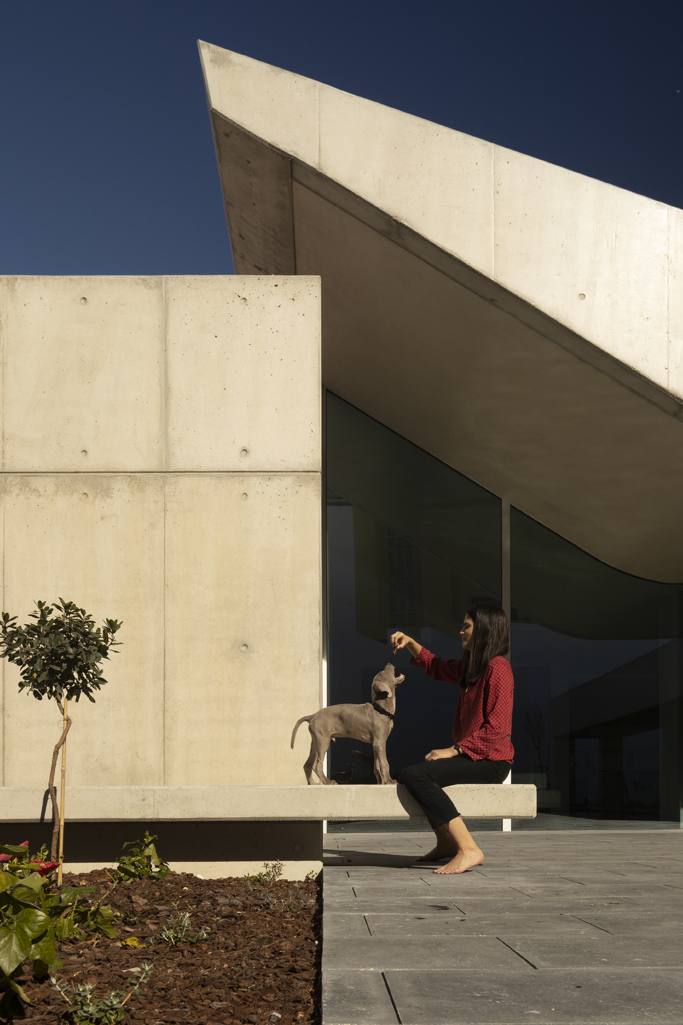 © © Fernando Guerra / FG+SG