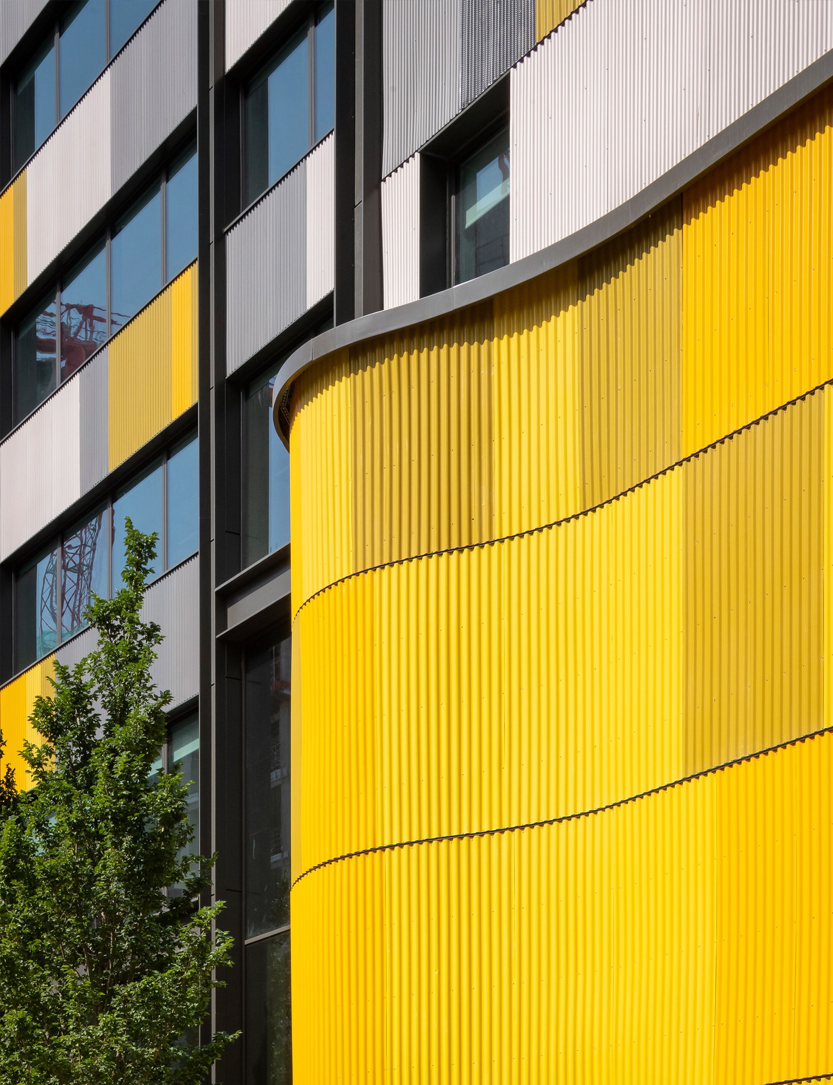 © استوديو إيغريت ويست