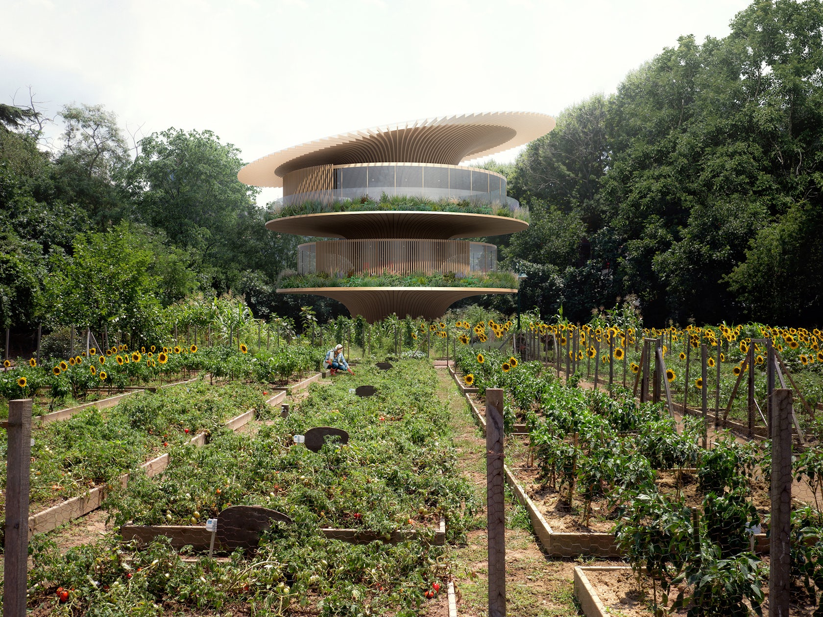 © KOICHI TAKADA ARCHITECTS