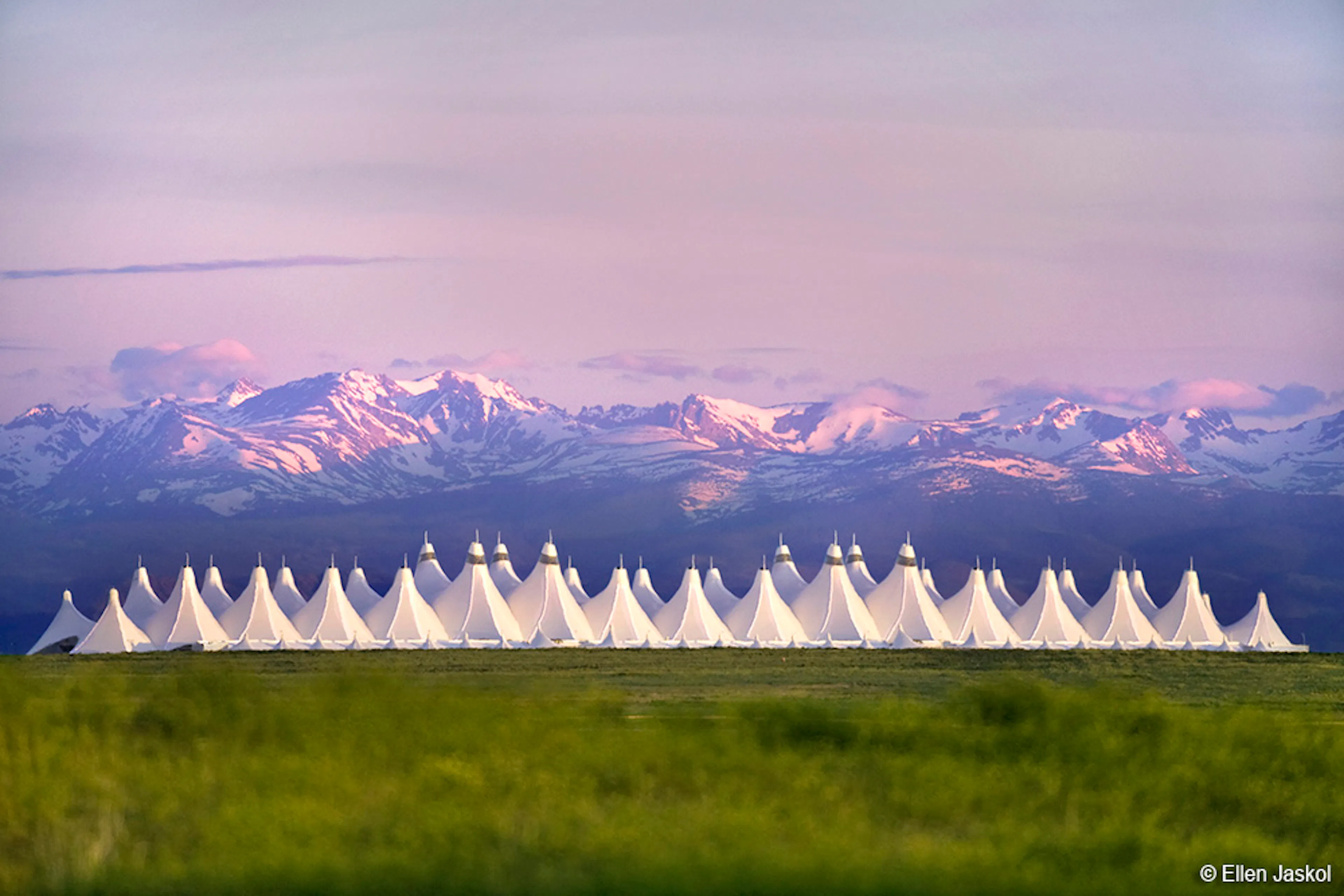 George Bush Intercontinental Airport, Mickey Leland International Terminal D — 11