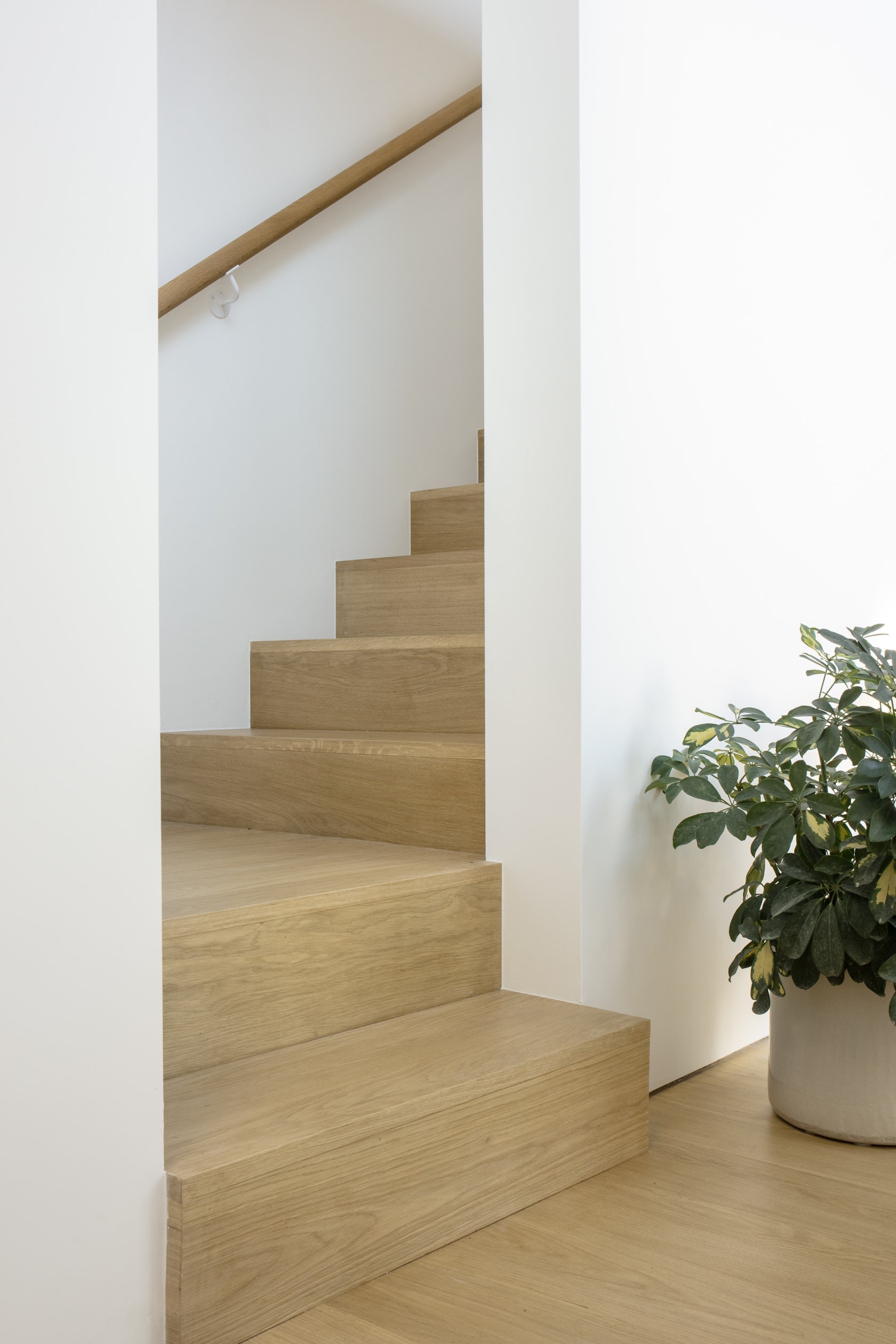© Kwong Von Glinow Design Office
