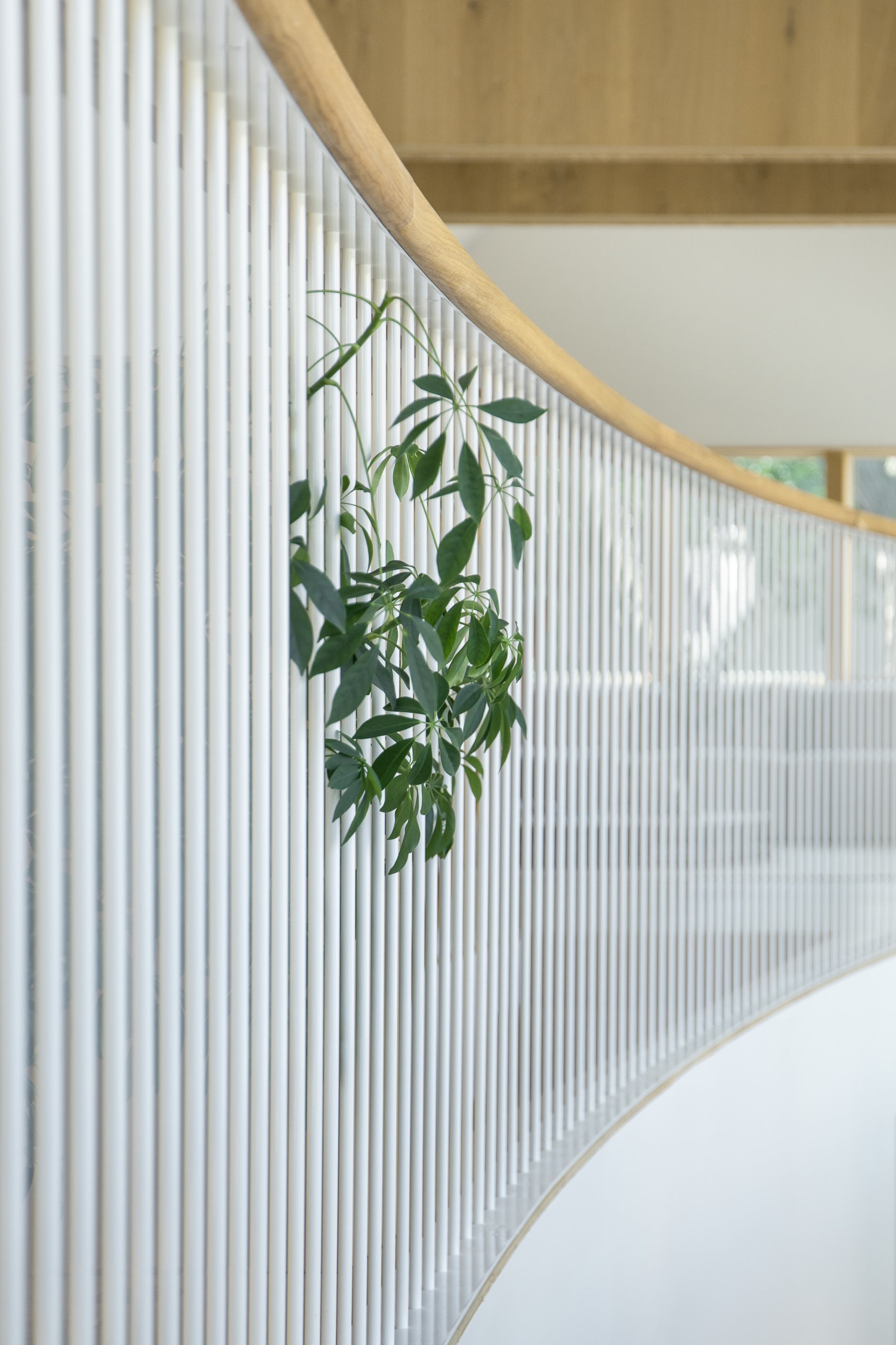 © Kwong Von Glinow Design Office
