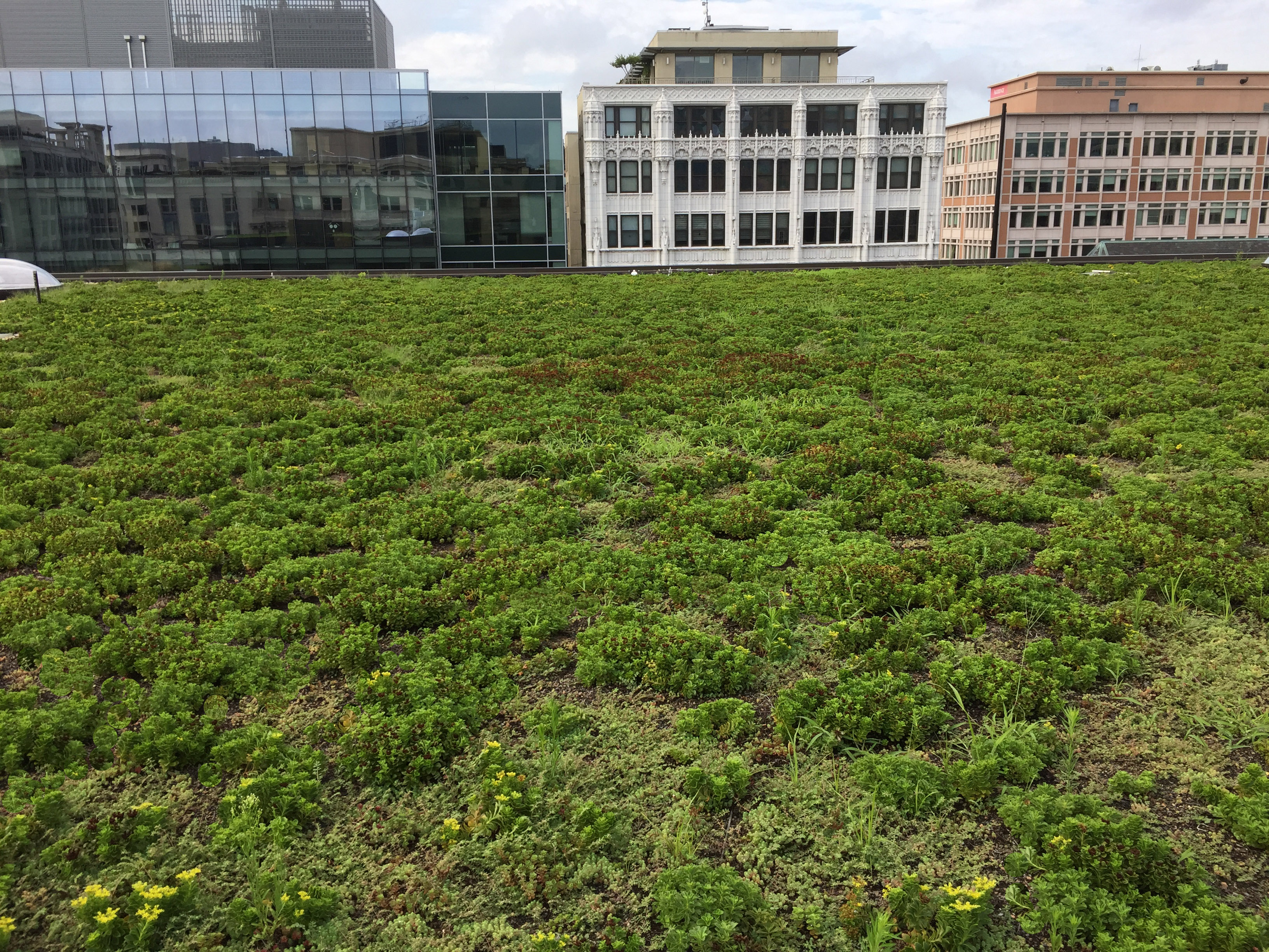 © OEHME, VAN SWEDEN