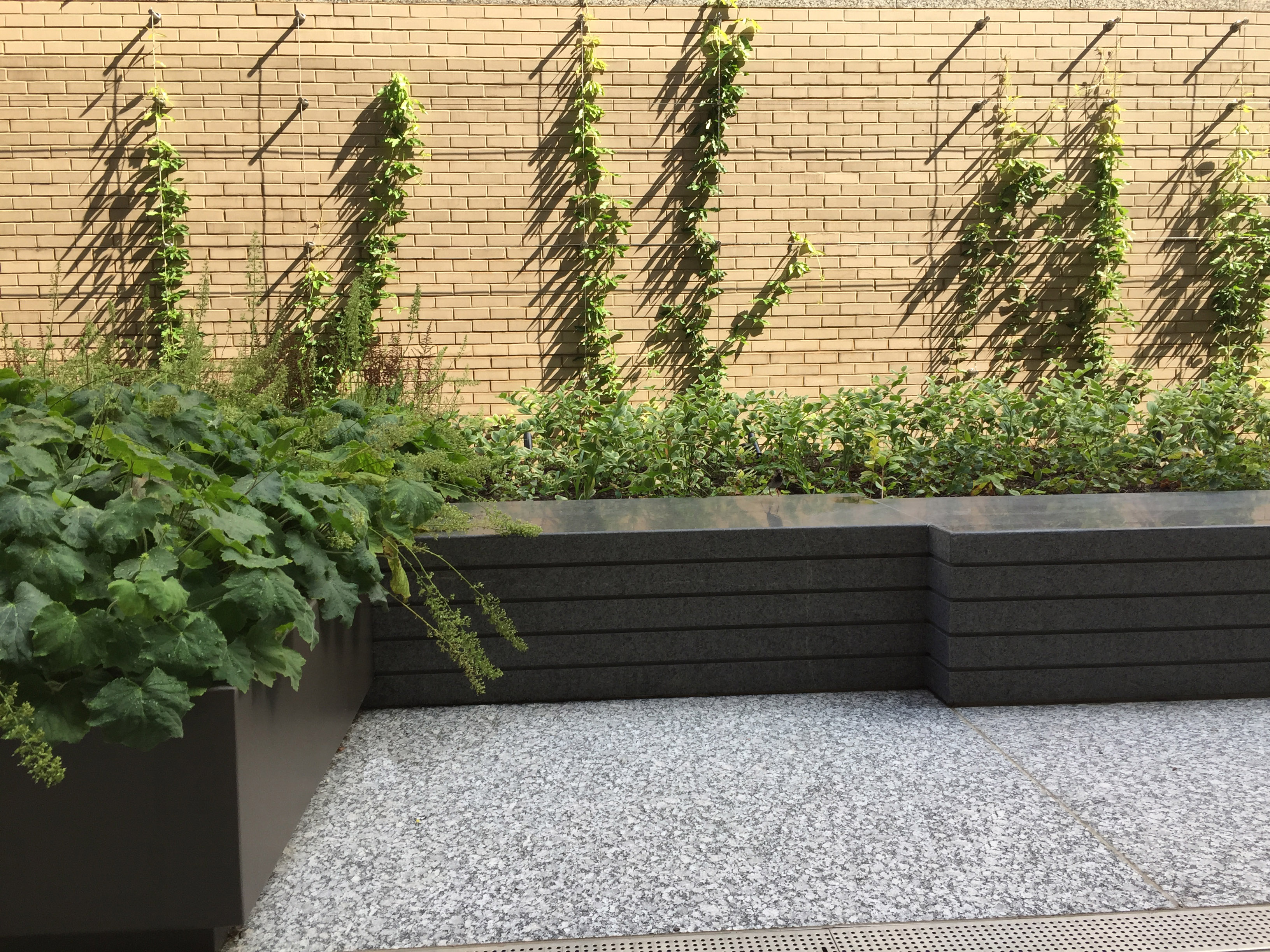 © OEHME, VAN SWEDEN