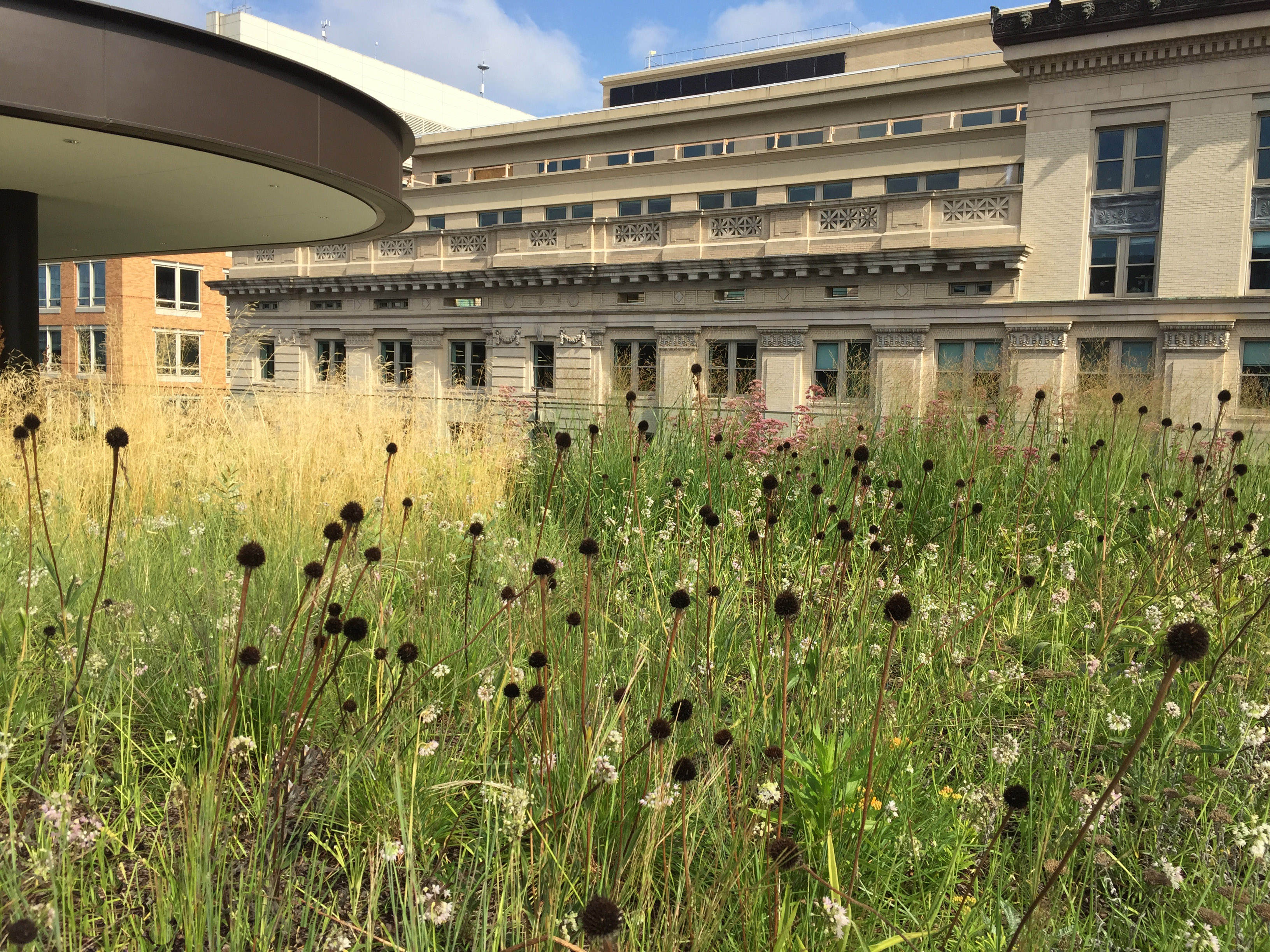 © OEHME, VAN SWEDEN