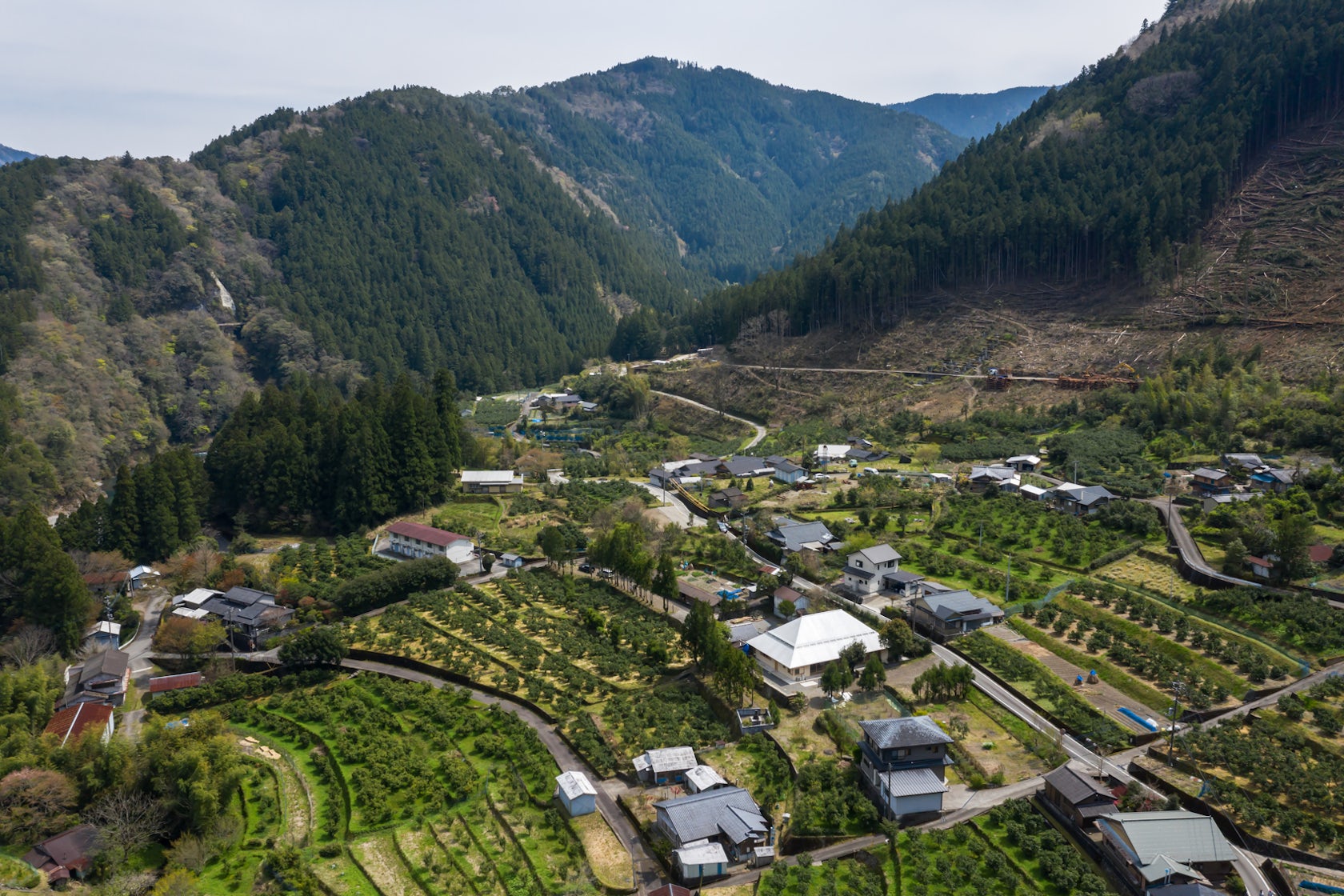 © Kosuke Bando Architects