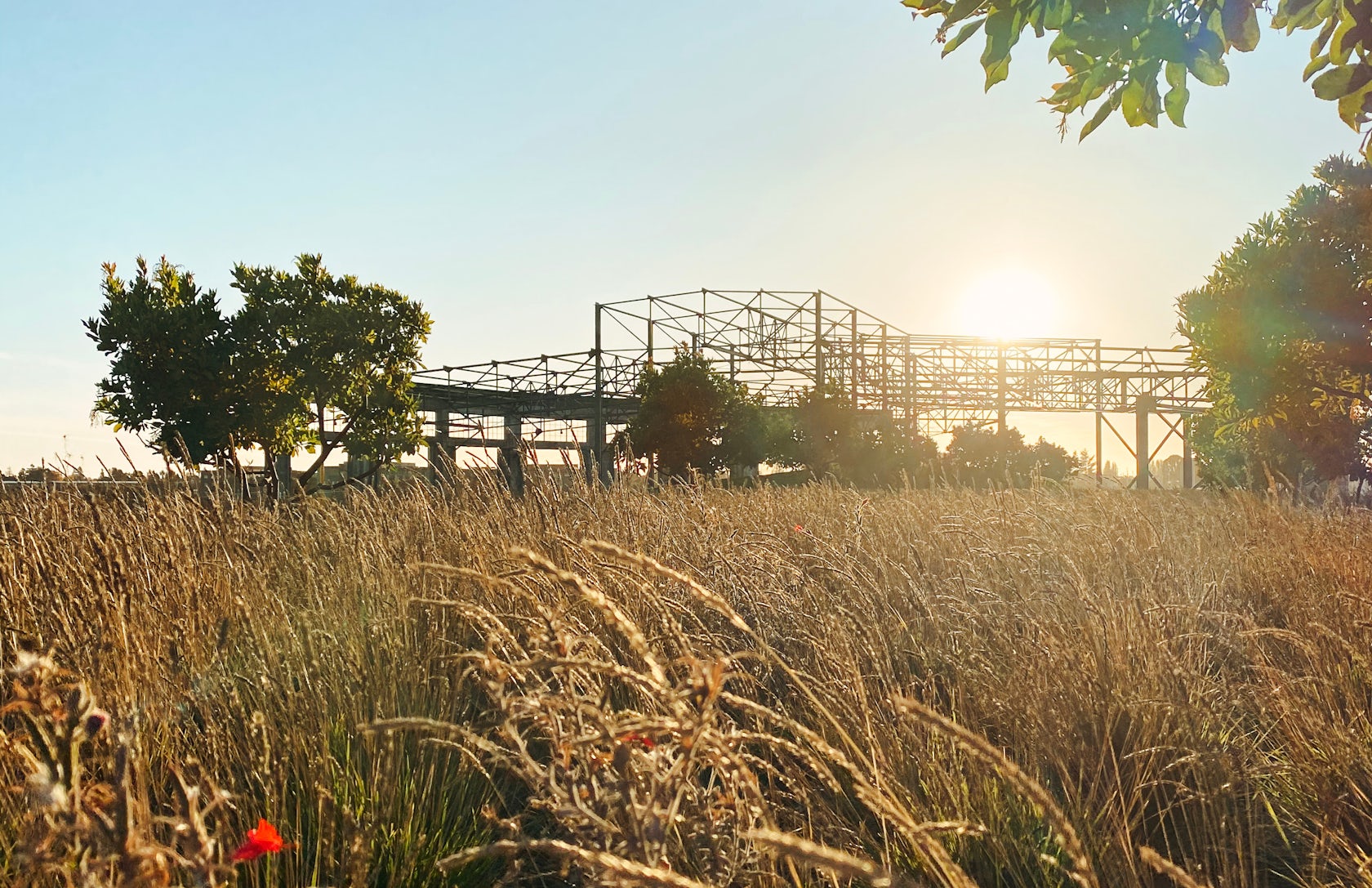 © Einwiller Kuehl Landscape