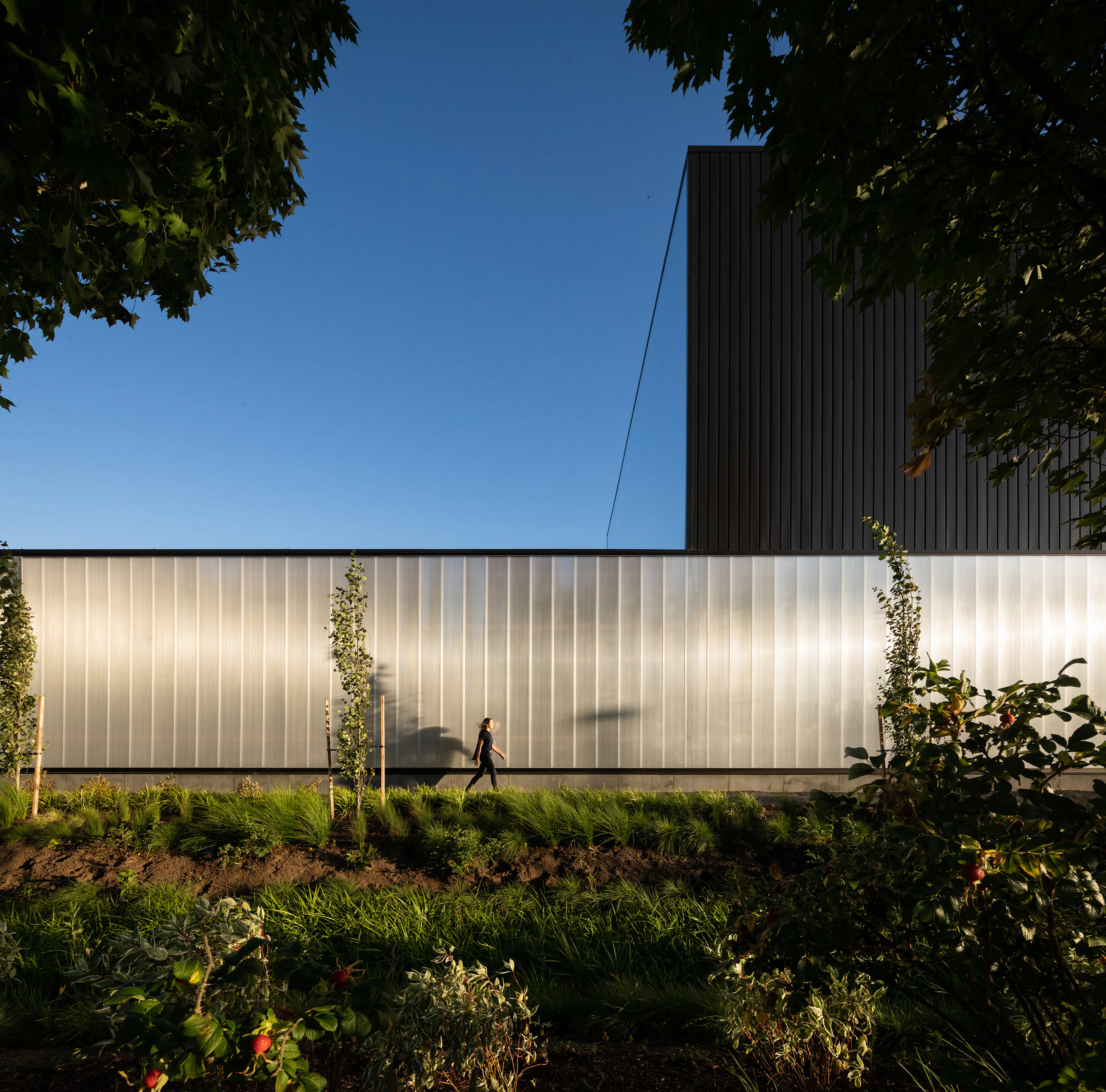 Oregon State University Forest Science Complex