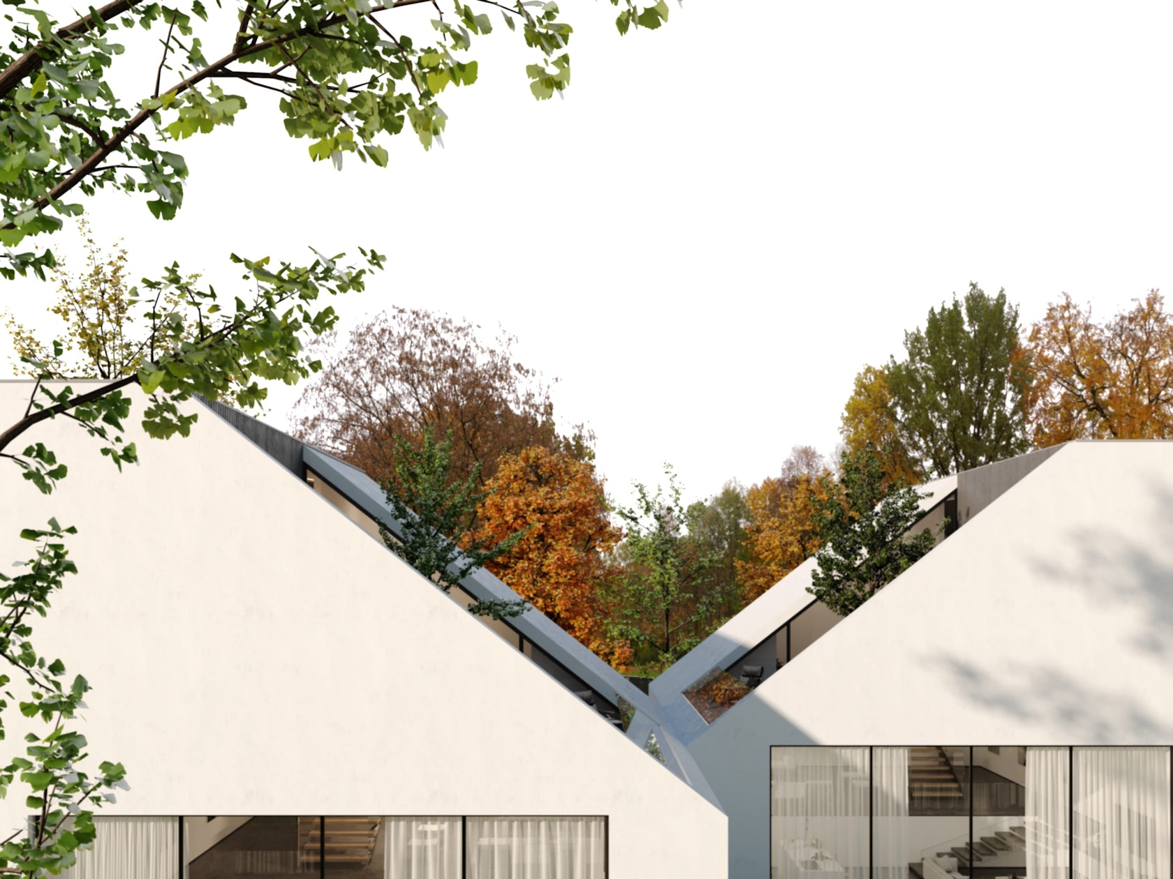 © Amirhossein Afzali Architects