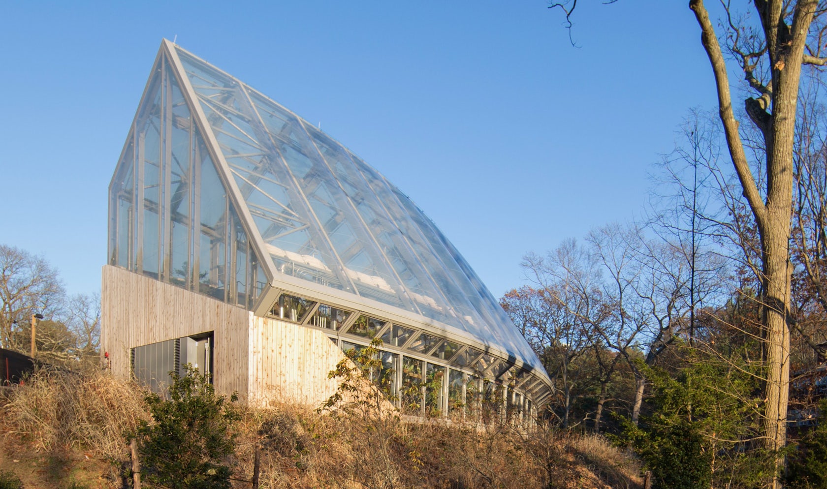 © Kennedy & Violich Architecture