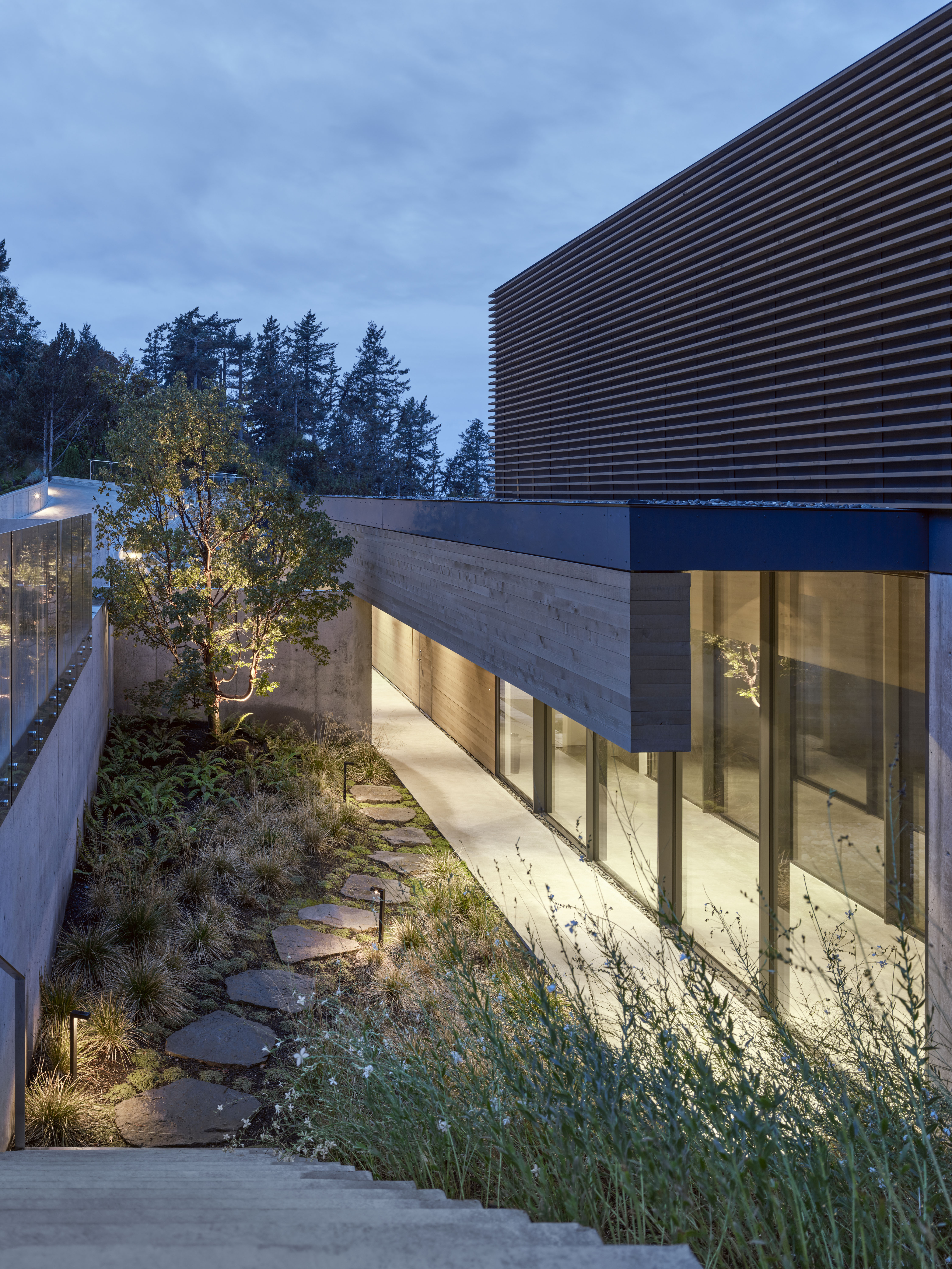 © أندرو لاتريل