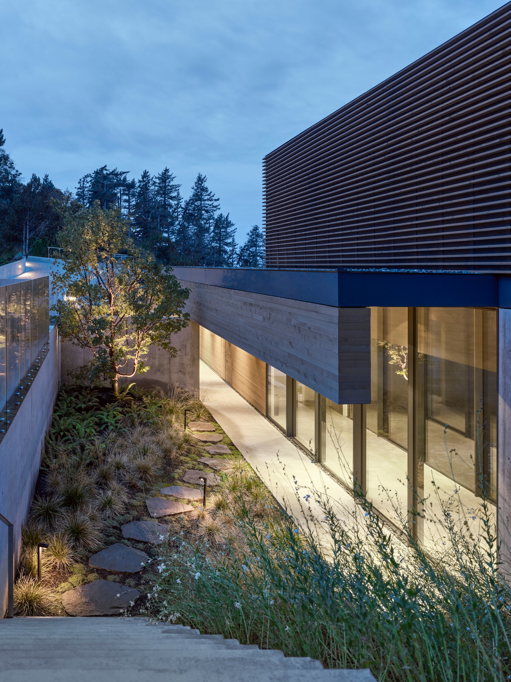 © أندرو لاتريل