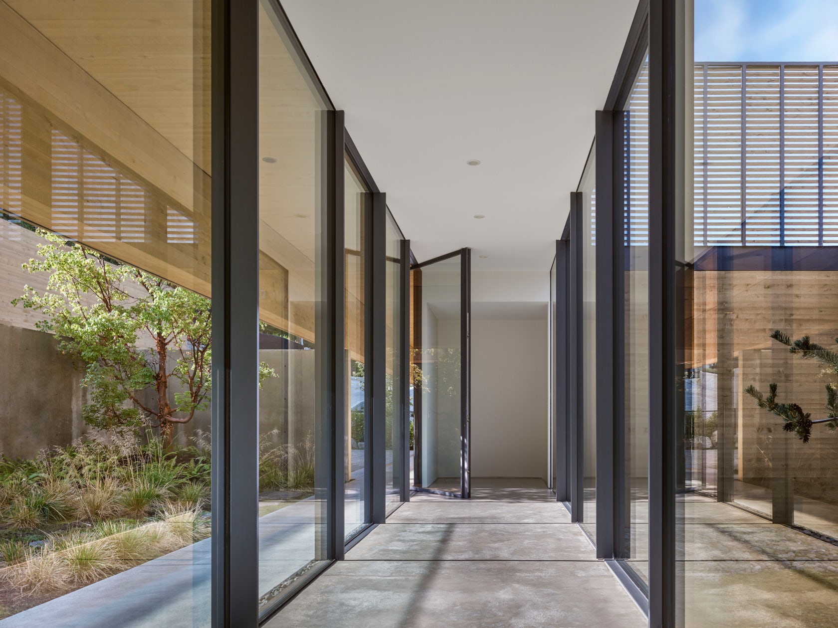 © أندرو لاتريل