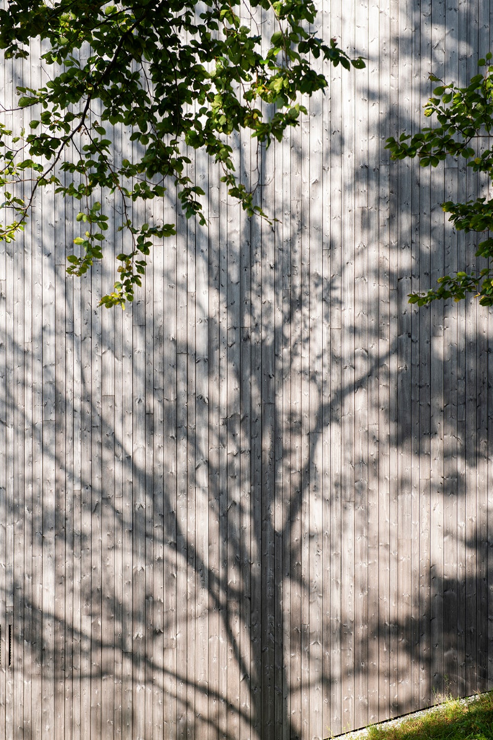 © Ivar Kvaal