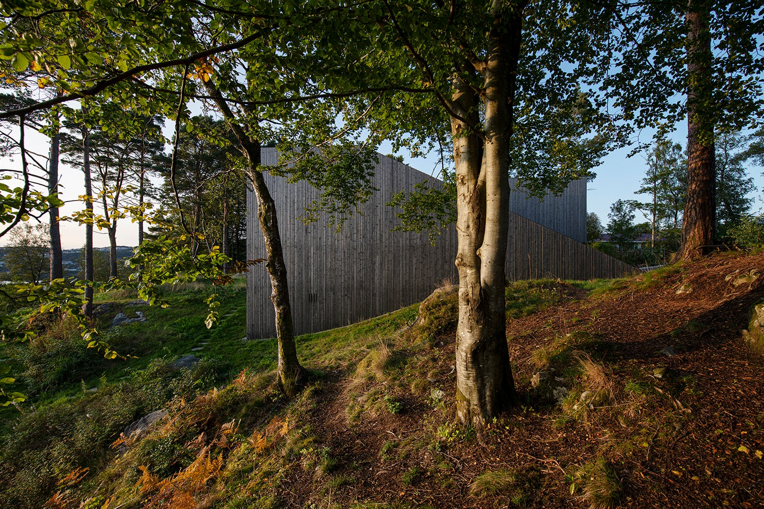 © Ivar Kvaal