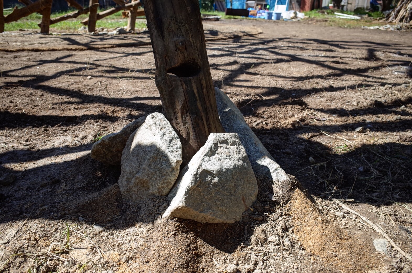 © Ryuichi Ashizawa + Hirokazu Toki + مختبر جامعة محافظة شيغا في أشيزاوا