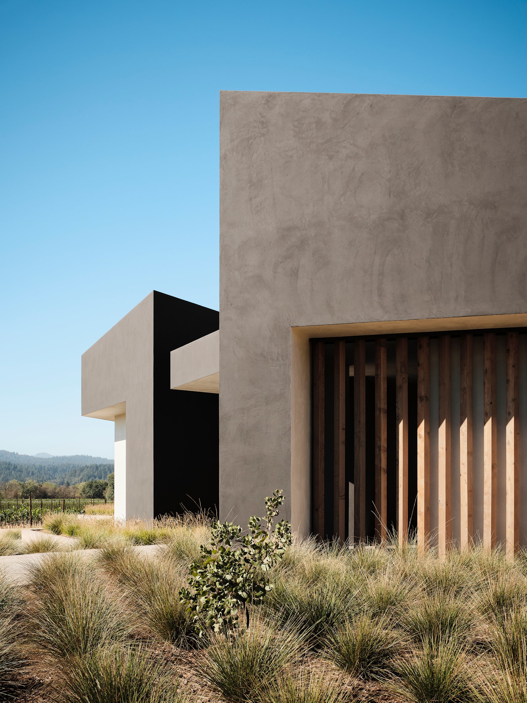 © Signum Architecture