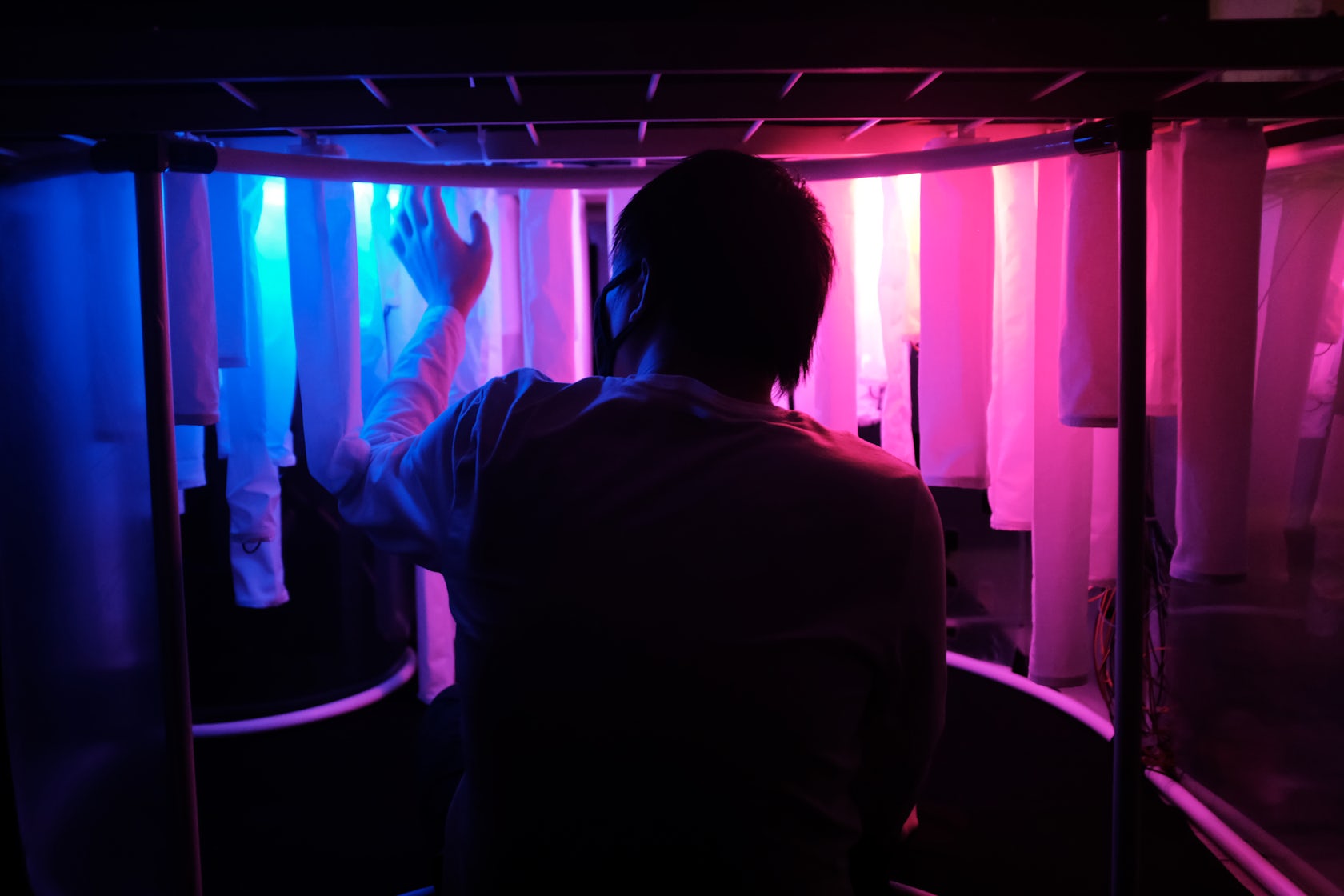 © مختبر التشكل