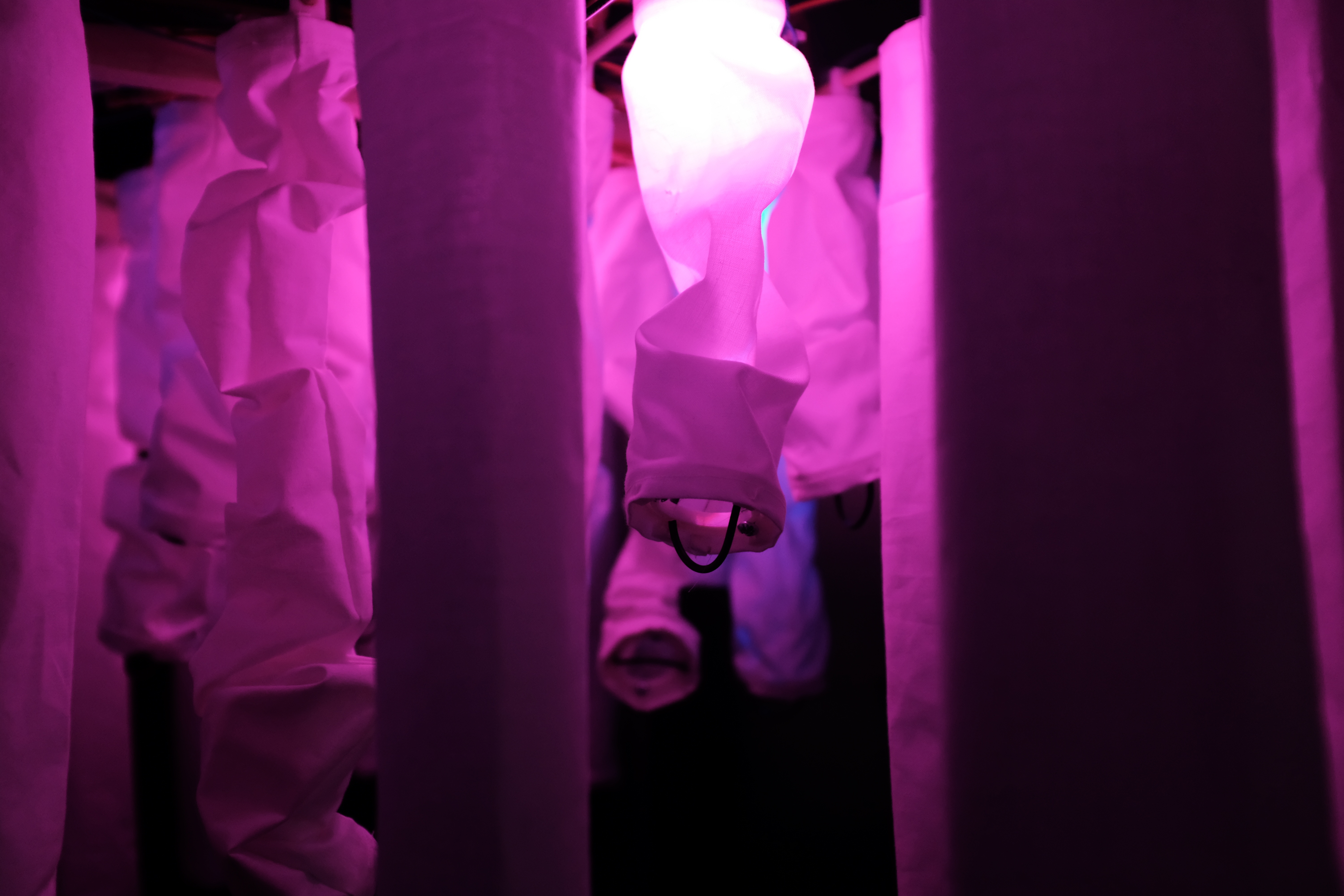 © مختبر التشكل