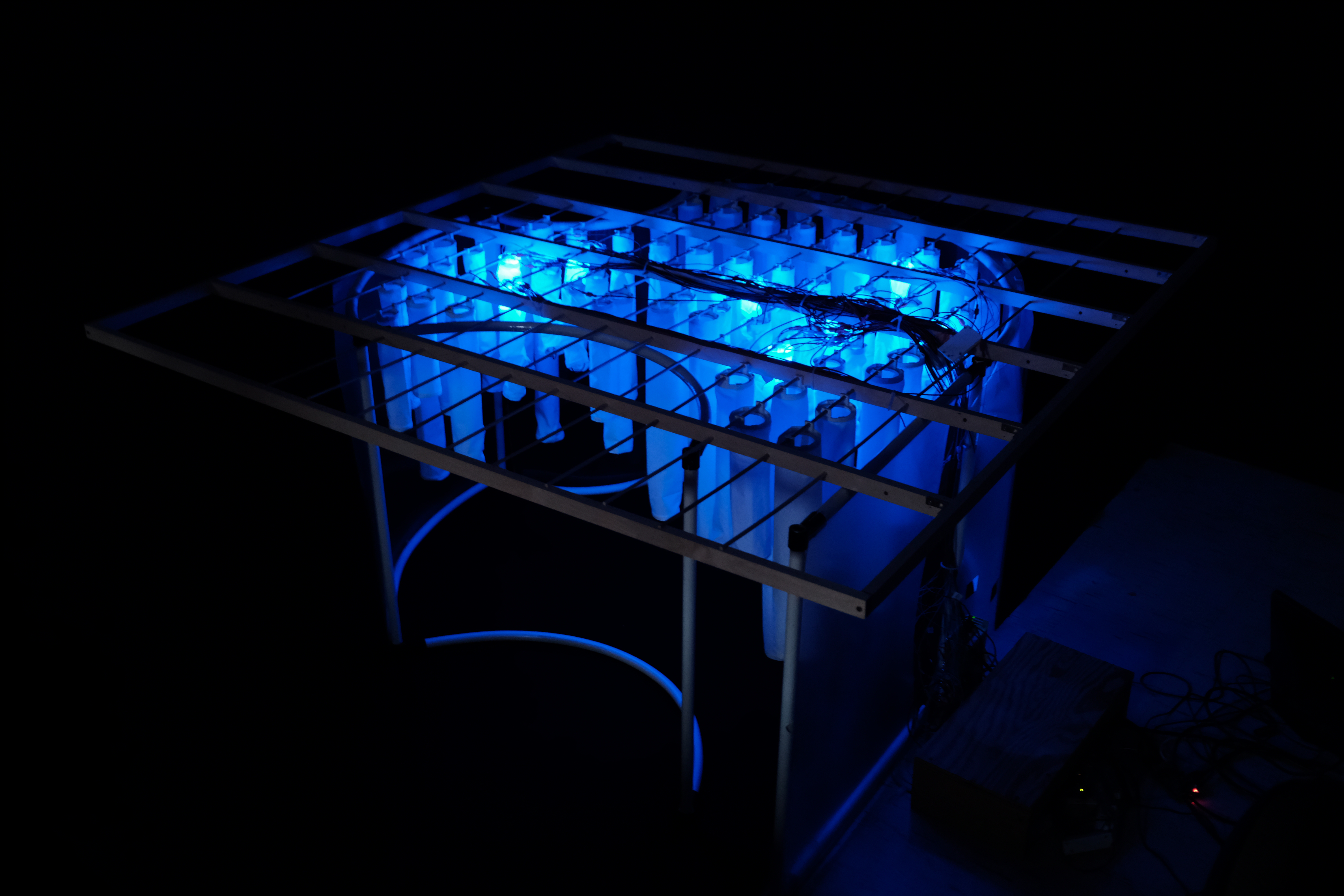 © مختبر التشكل