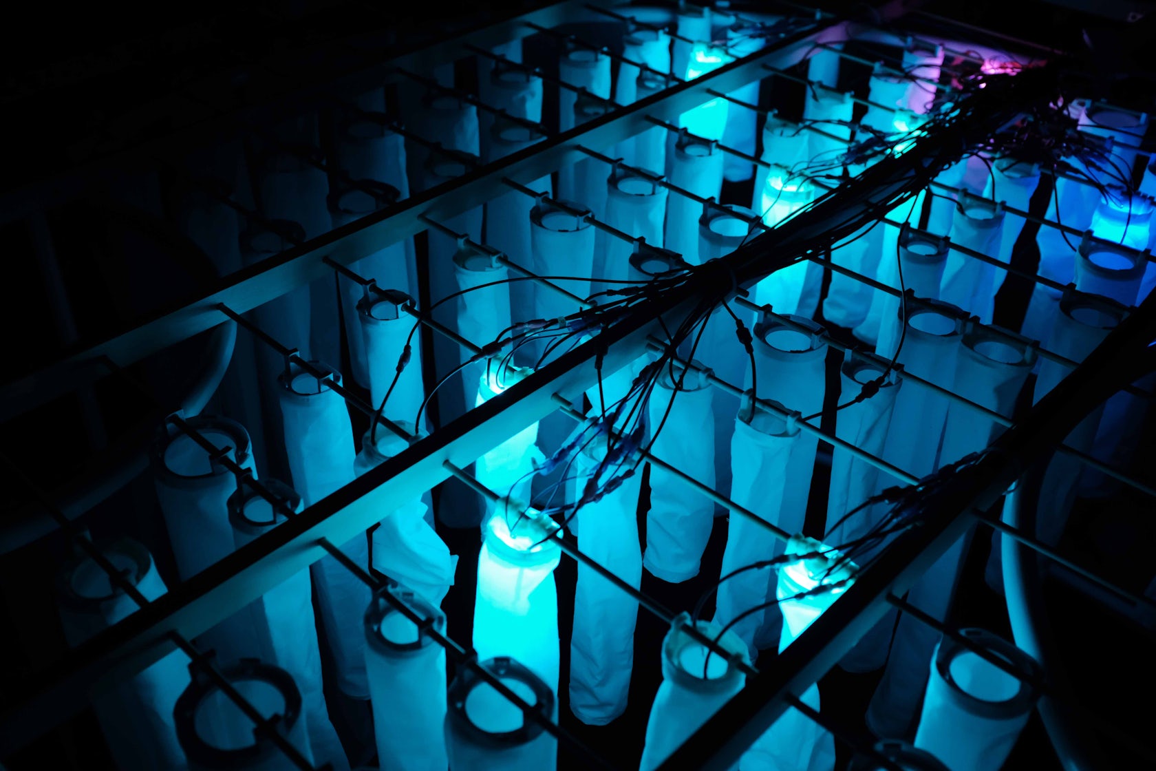 © مختبر التشكل